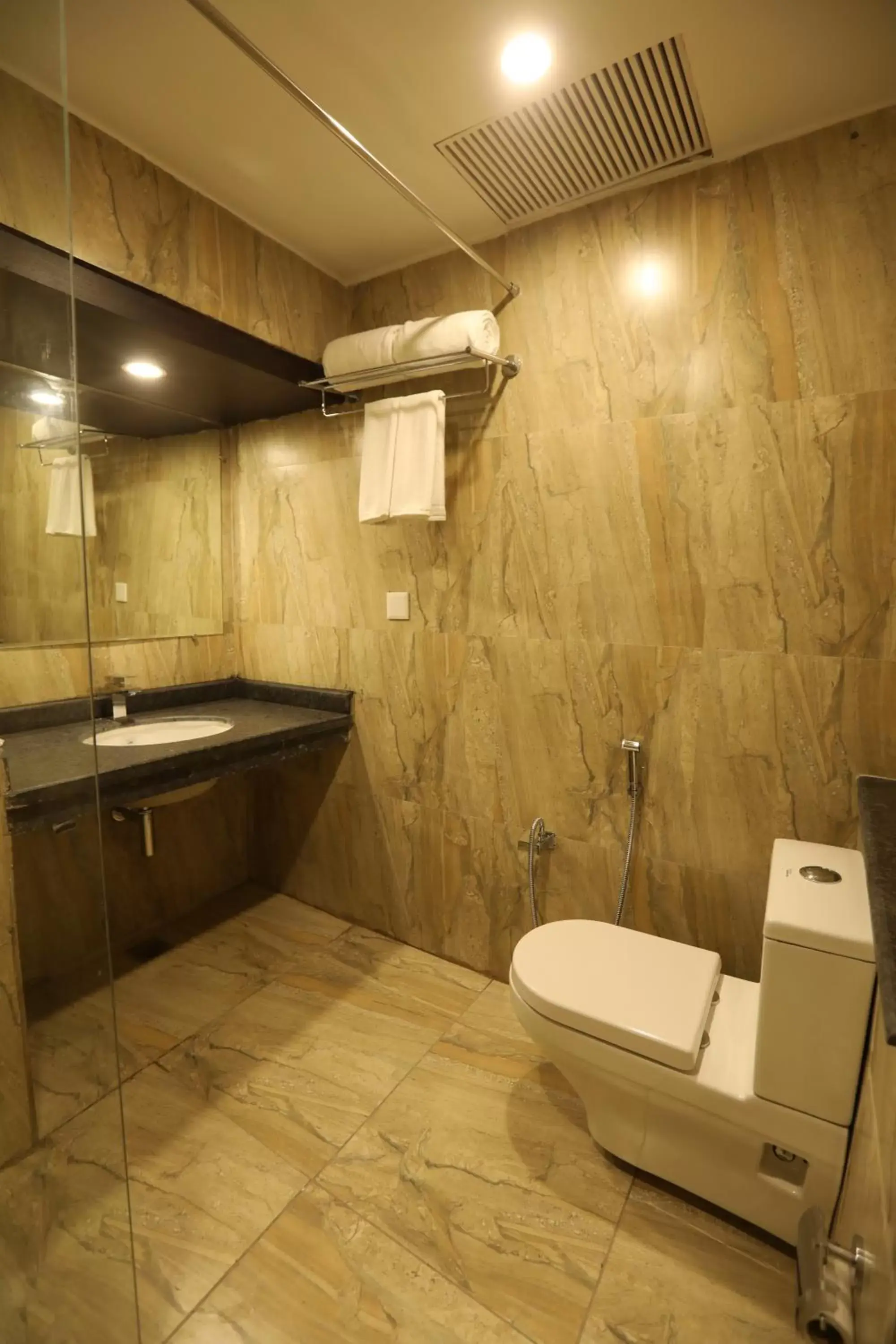 Toilet, Bathroom in Hotel Natraj Rishikesh