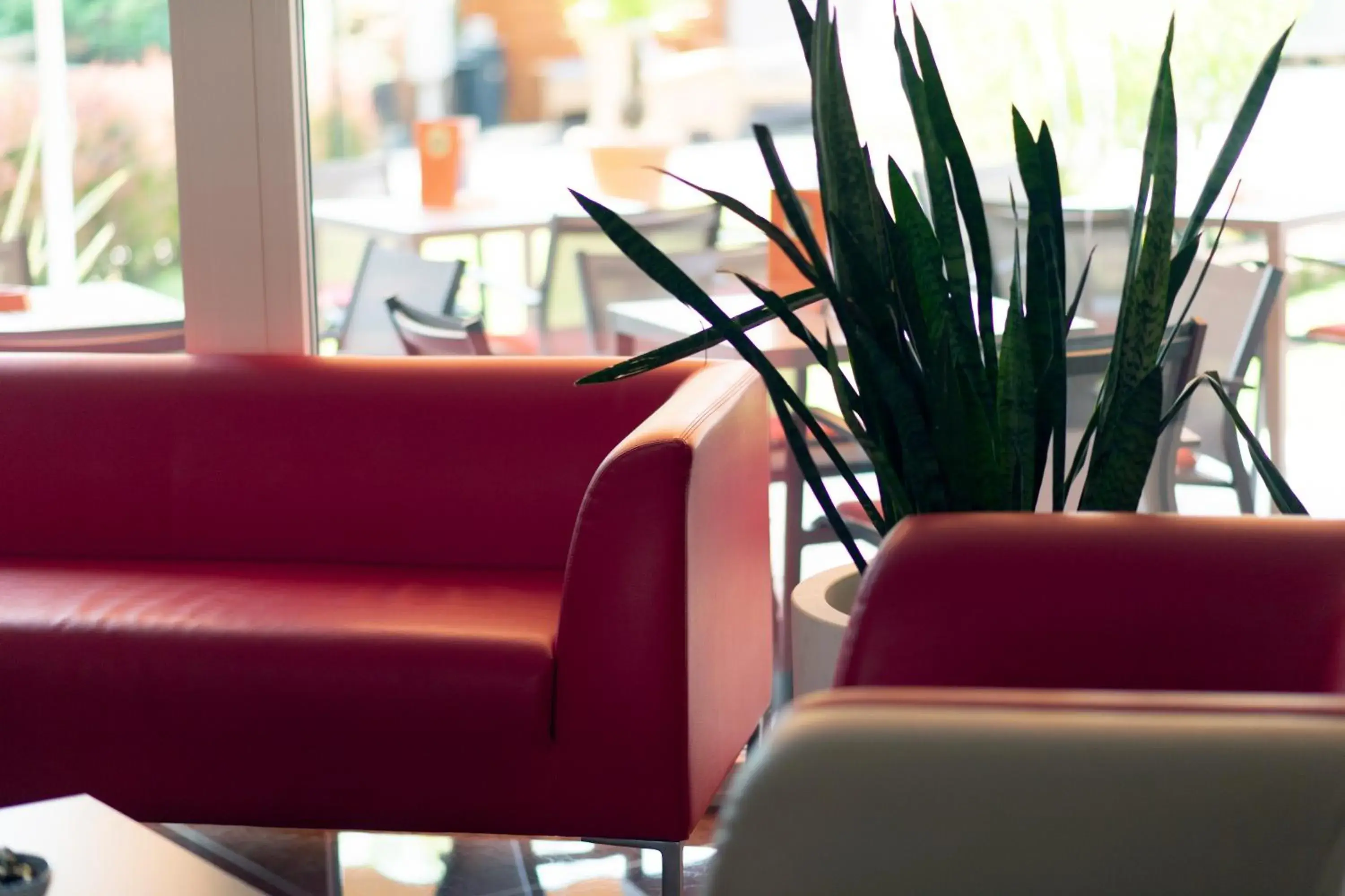 Lobby or reception, Seating Area in Hotel Imperial ***S