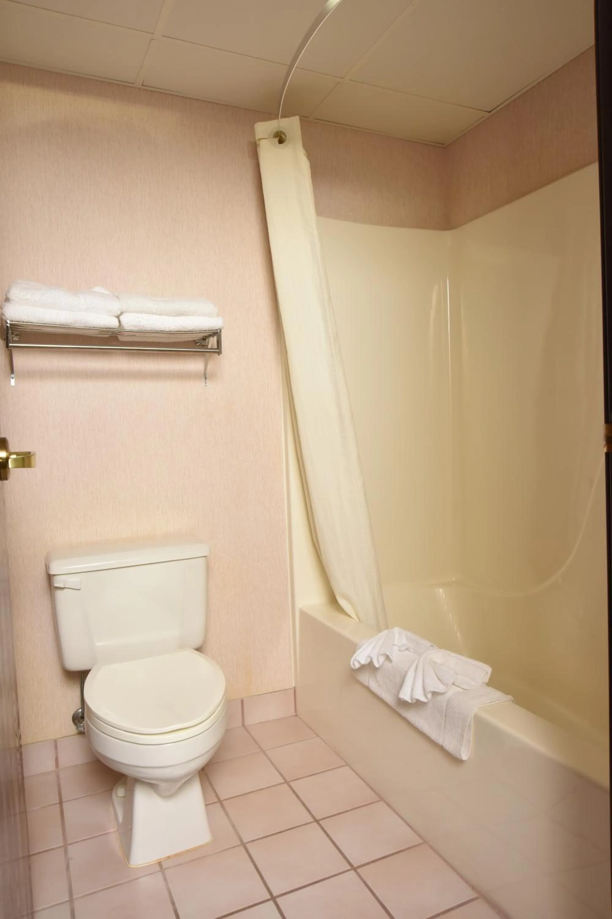 Shower in Super 8 by Wyndham Springfield-Battlefield