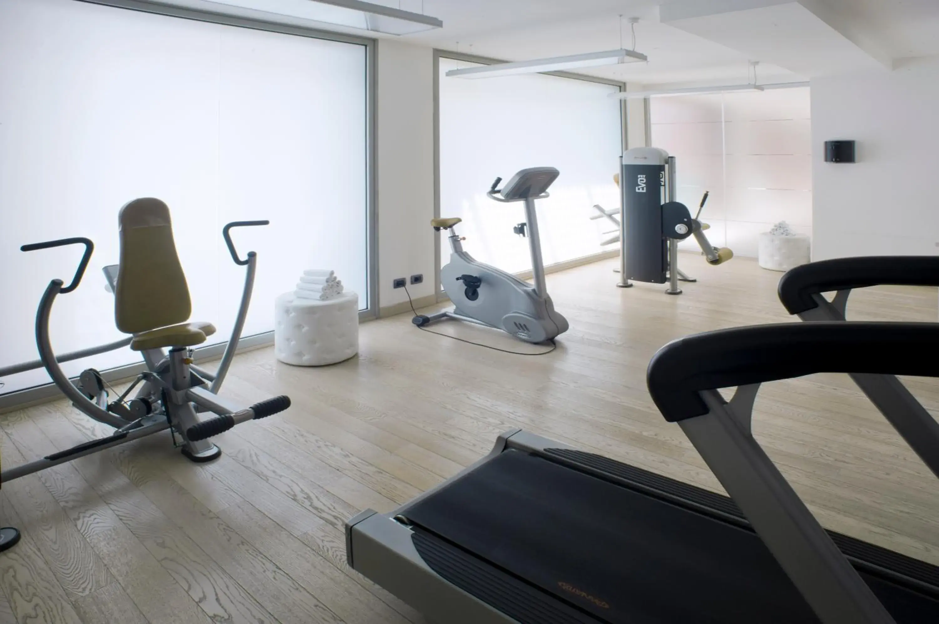 Fitness centre/facilities, Fitness Center/Facilities in Domina Milano Fiera