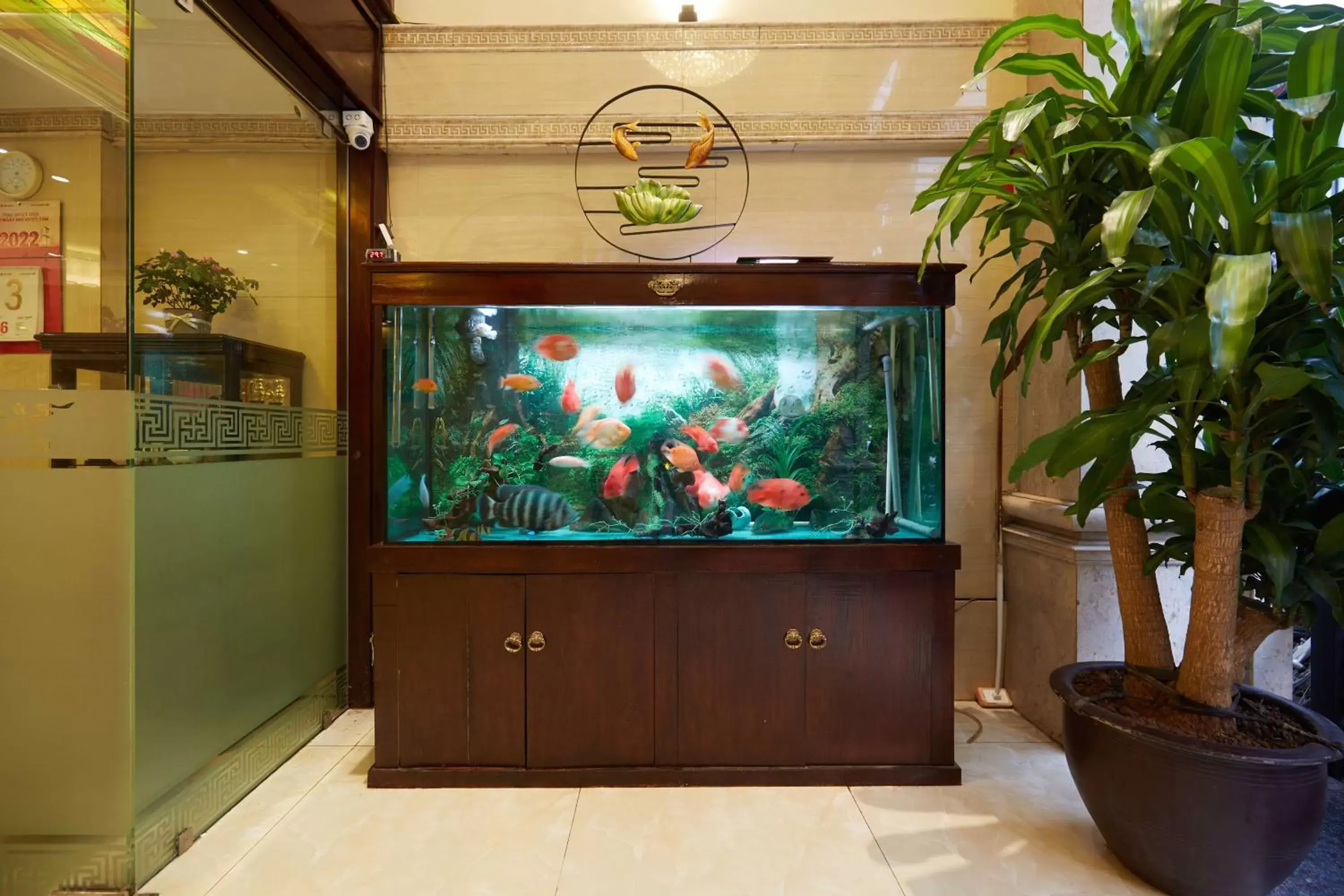 Lobby or reception in HaNoi Calido Hotel Lobby or reception in HaNoi Calido Hotel