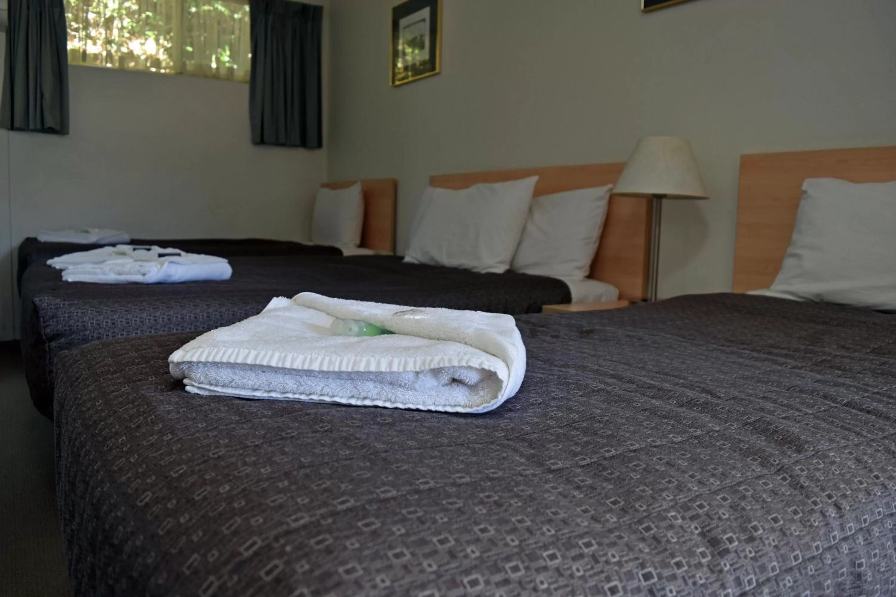 Bed in Ten Dollar Town Motel