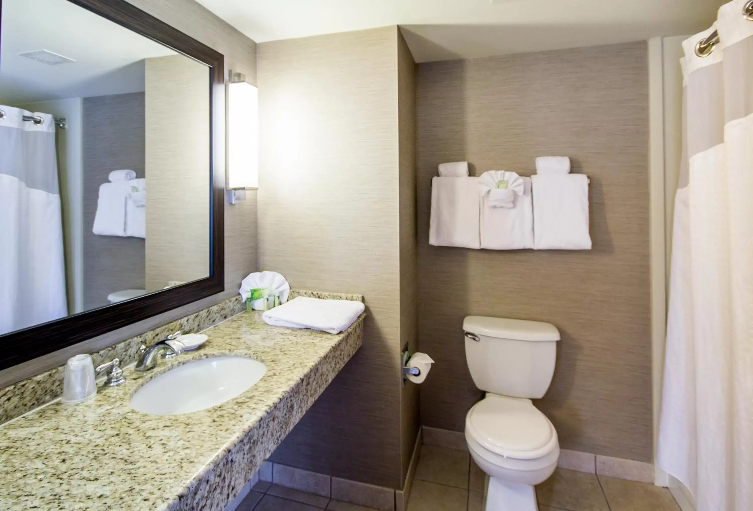 Bathroom in Holiday Inn Express Hotel & Suites Auburn, an IHG Hotel