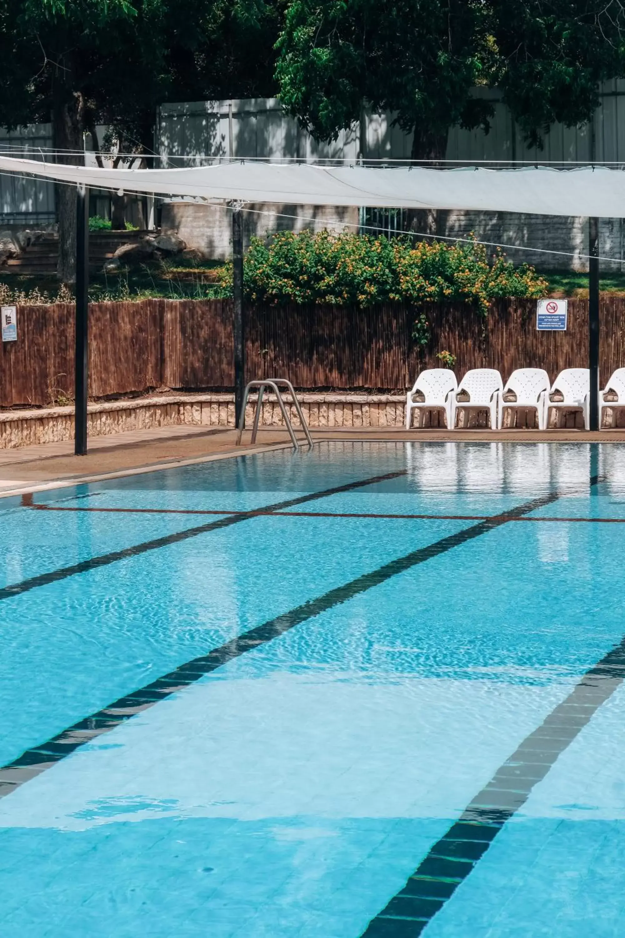 Swimming Pool in Eden Inn