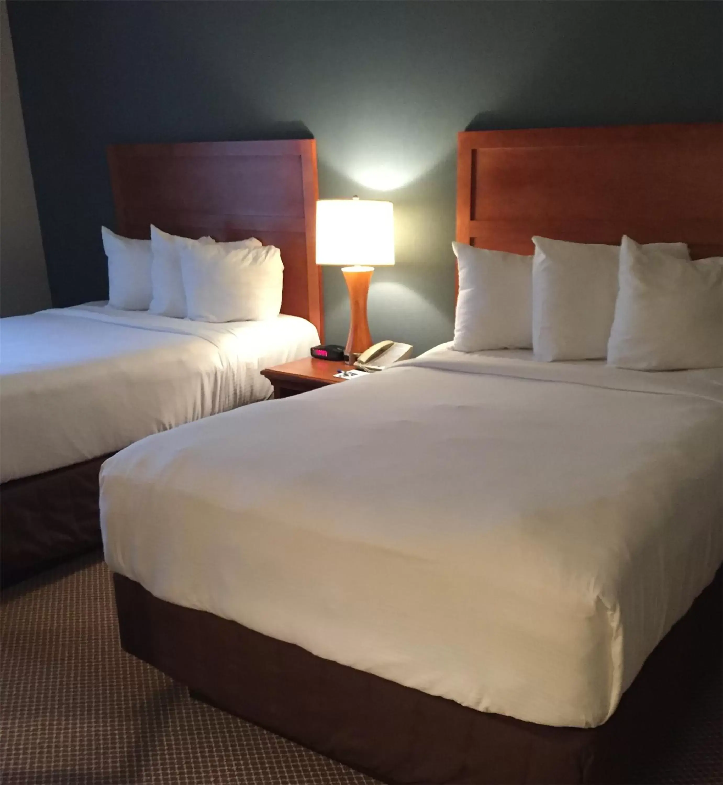 Bed in Isle of Capri Casino Hotel Lula Bed in Isle of Capri Casino Hotel Lula