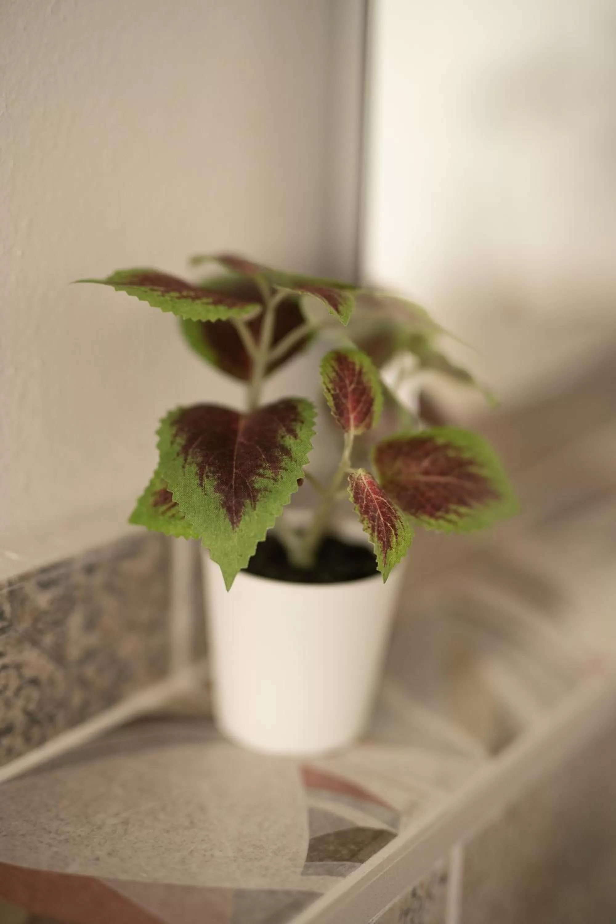 Le Stelle Della Spezia