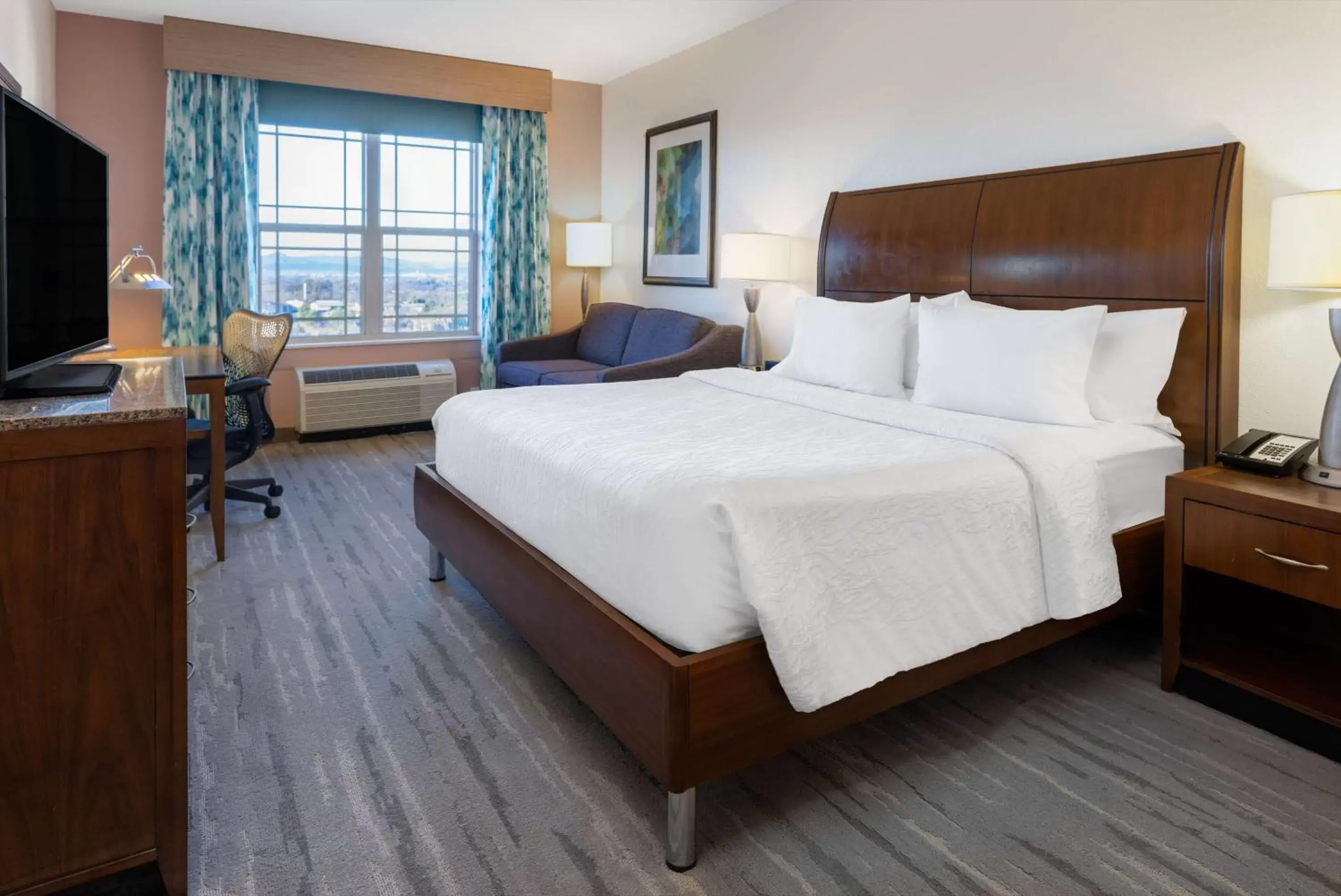 Living room, Bed in Hilton Garden Inn Roanoke