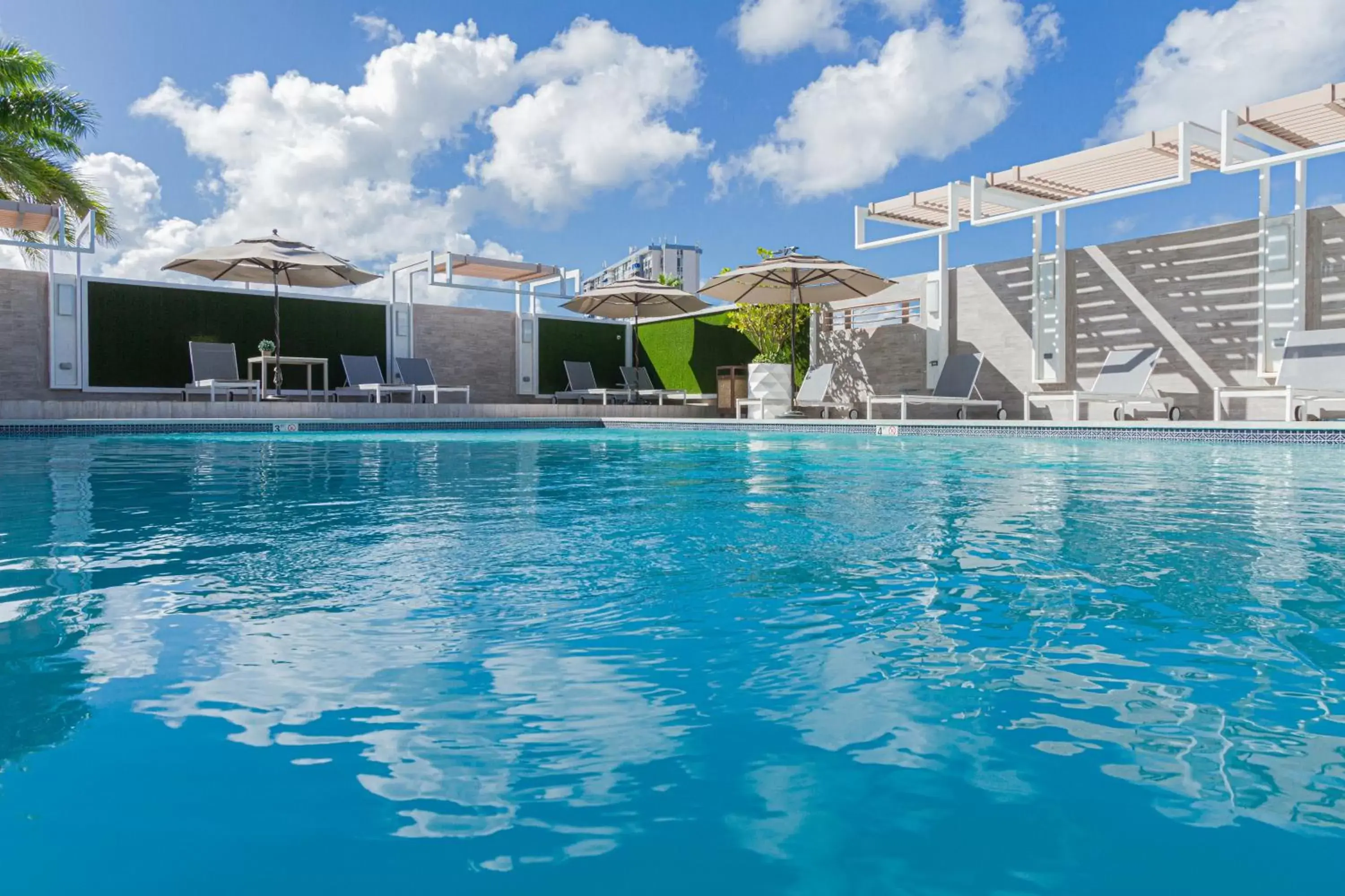 Activities, Swimming Pool in TRYP by Wyndham Isla Verde