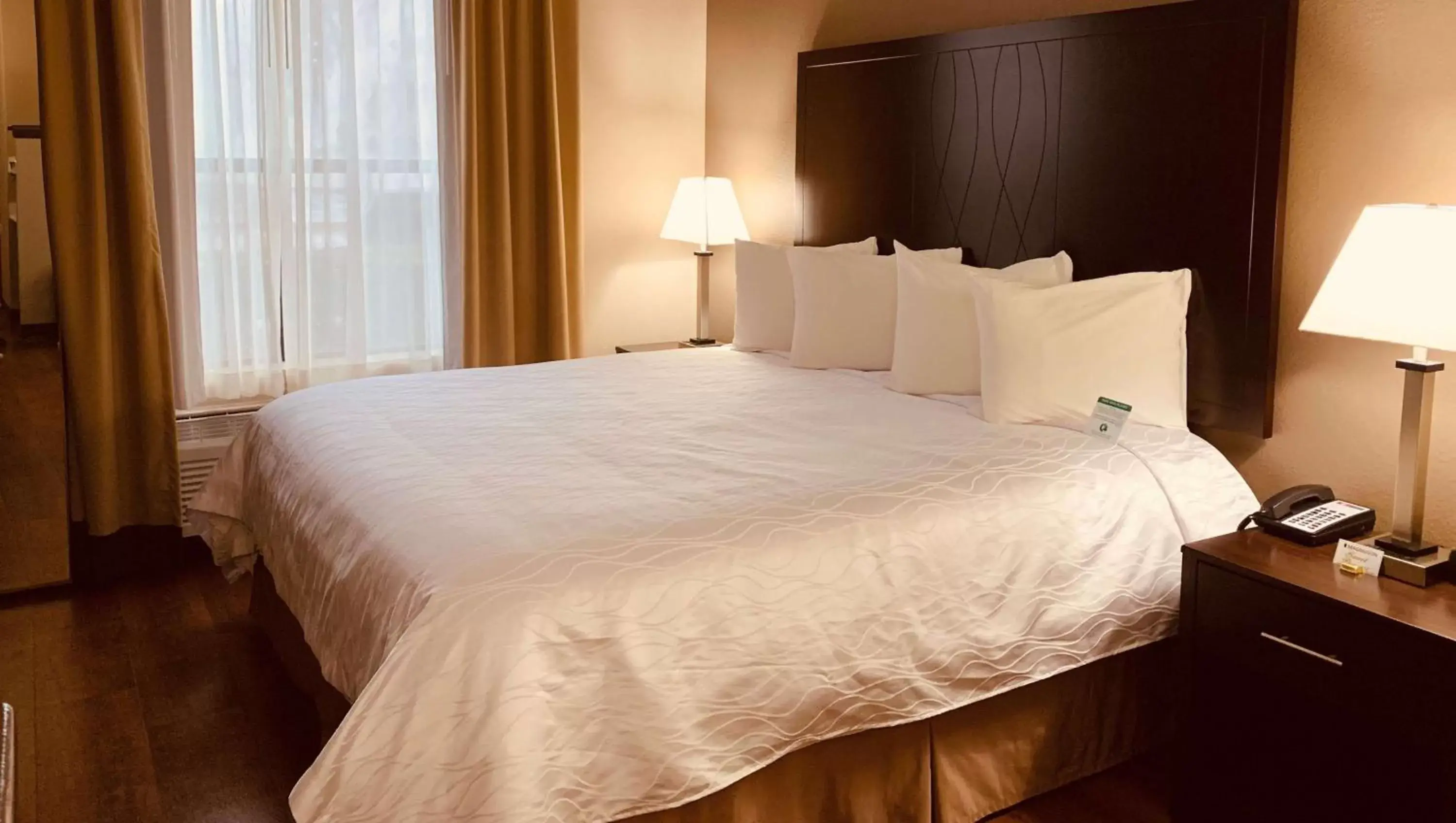 Photo of the whole room, Bed in SureStay Plus Hotel by Best Western Plano