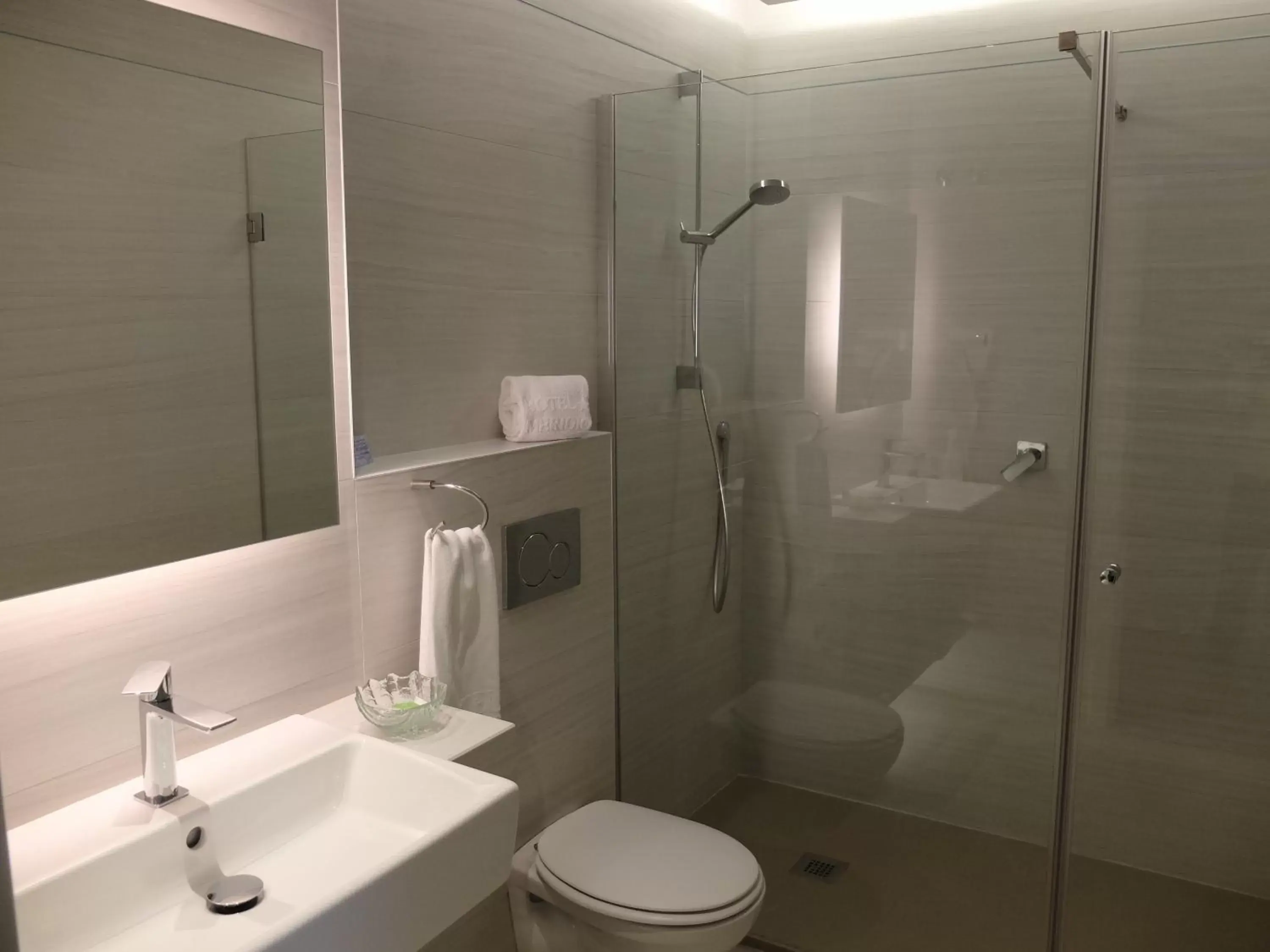 Shower, Bathroom in Hotel Meridional