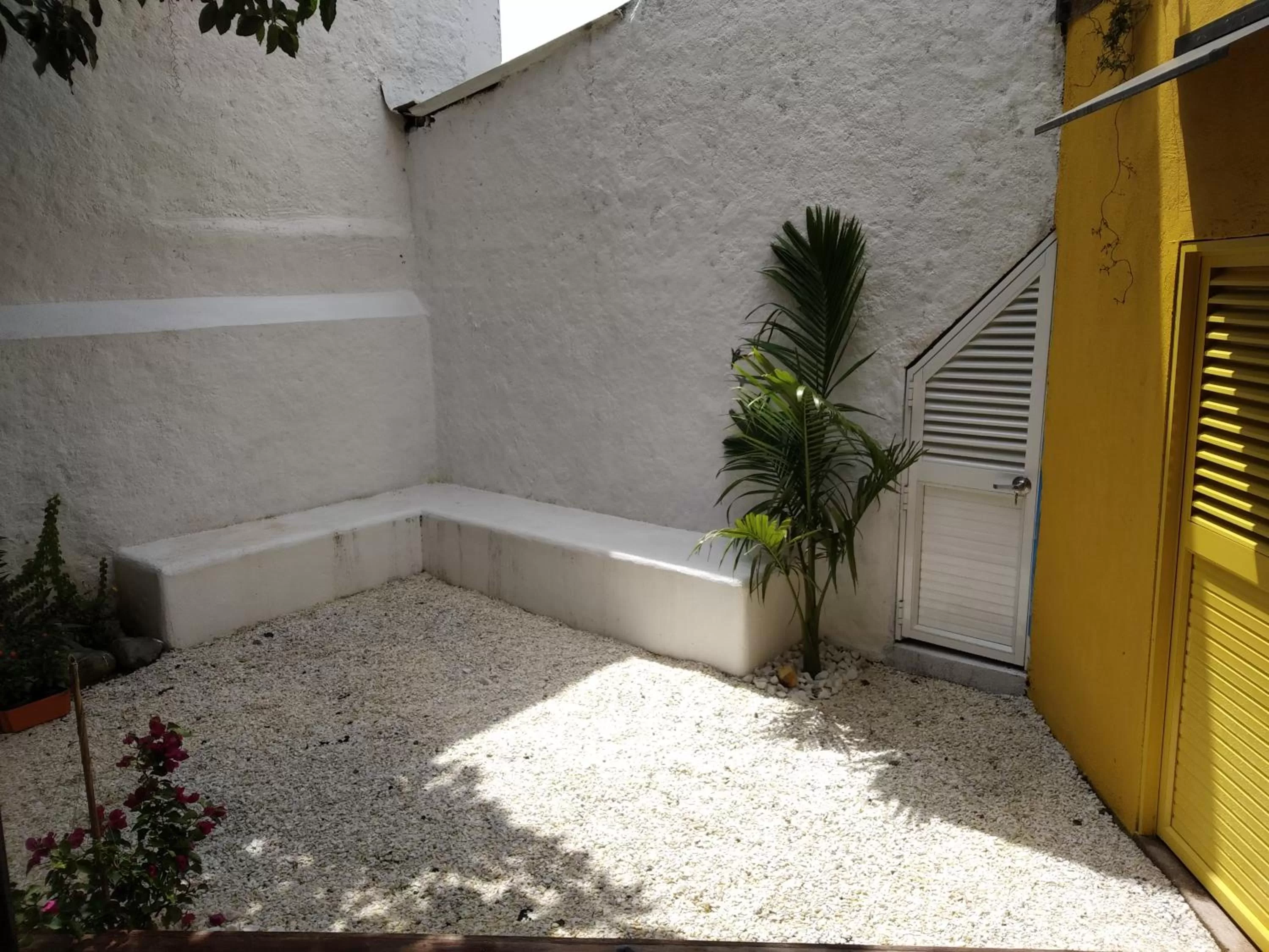 Garden in Hotel La Caracola