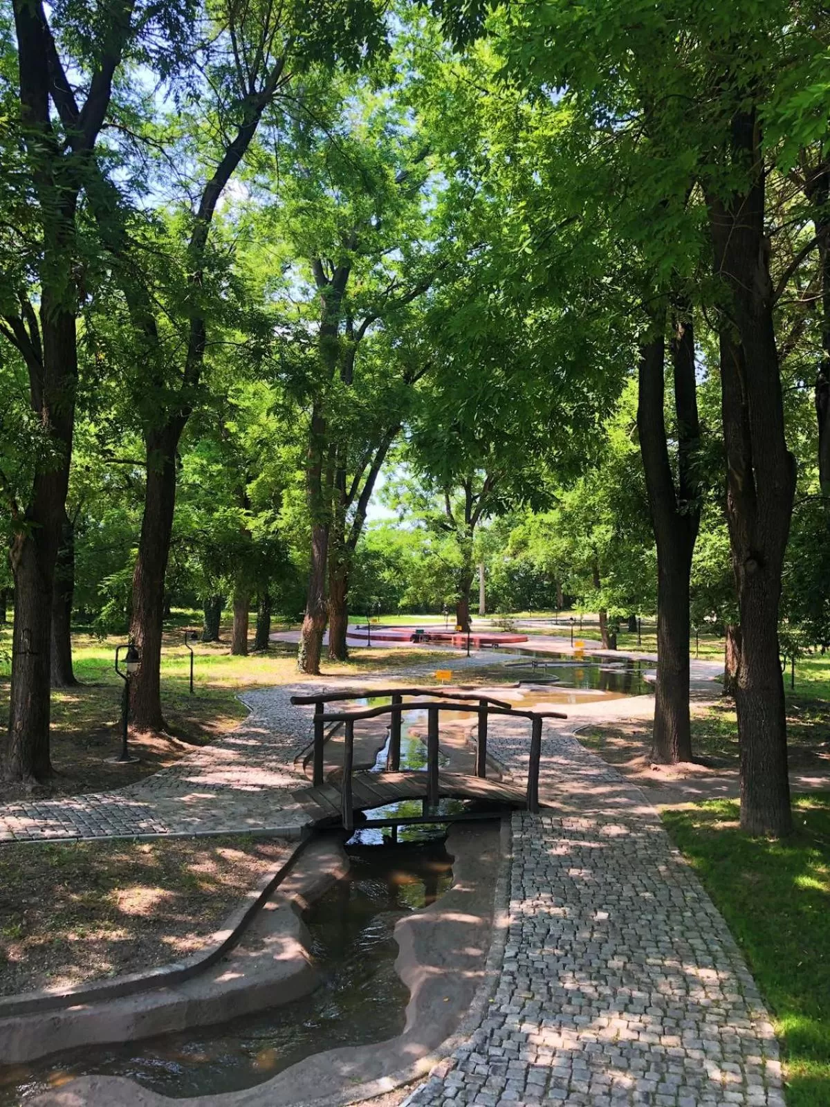 Garden in Hotel Spa Grad