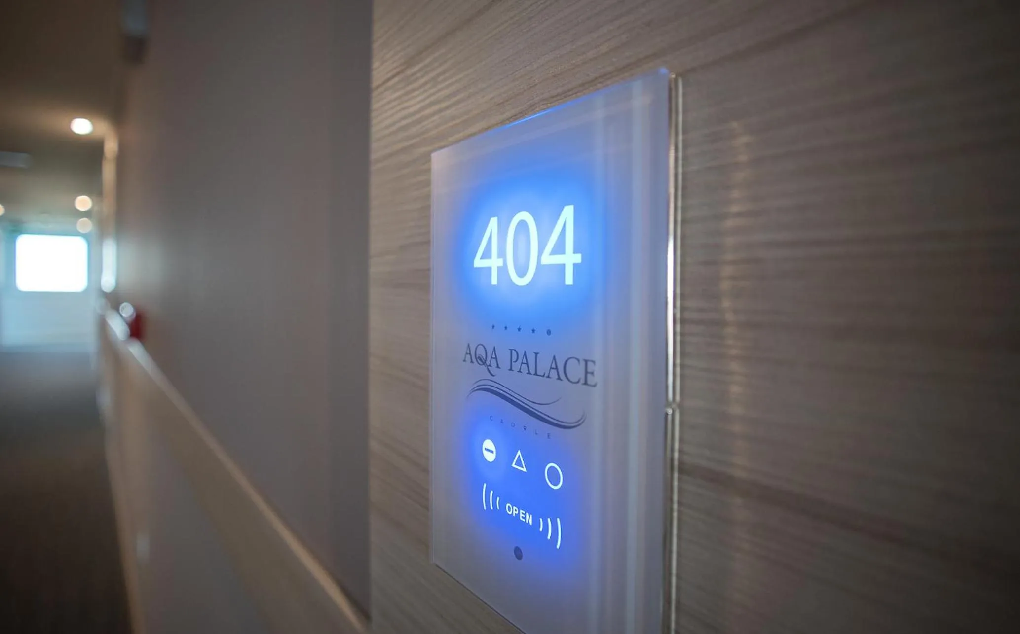 Decorative detail in AQA Palace