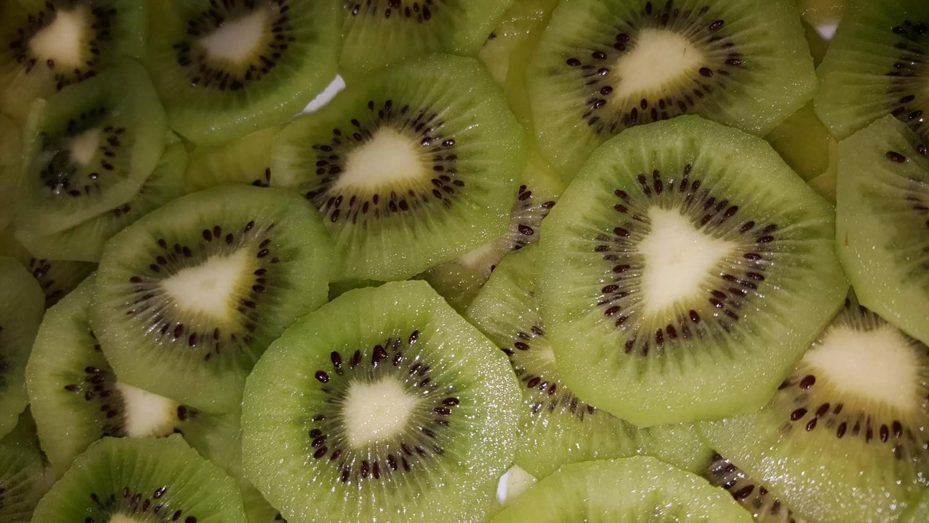 Breakfast in Fly Boutique Hotel