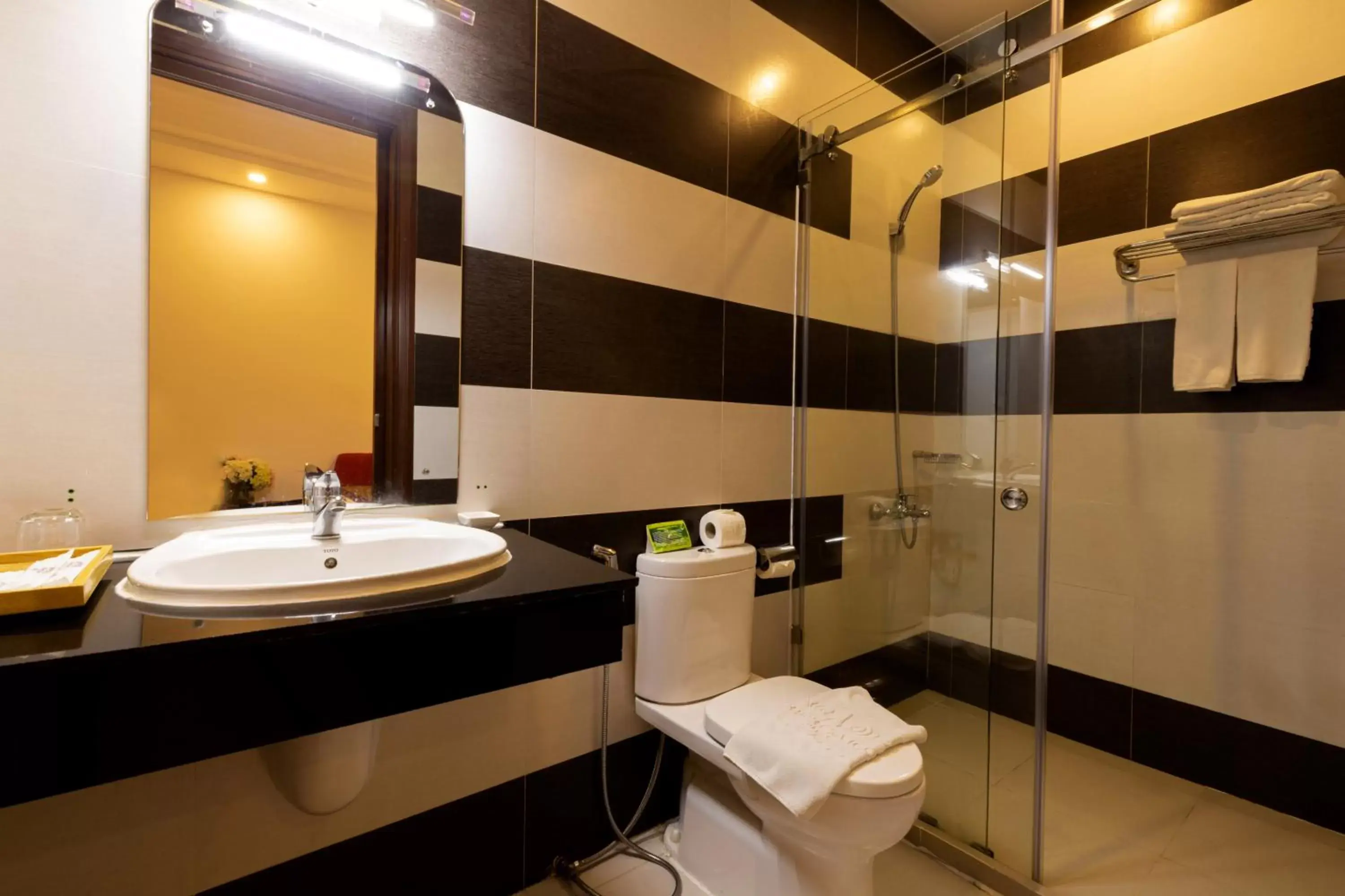 Shower, Bathroom in Airport Saigon Hotel - Gần ẩm thực đêm chợ Phạm Văn Hai