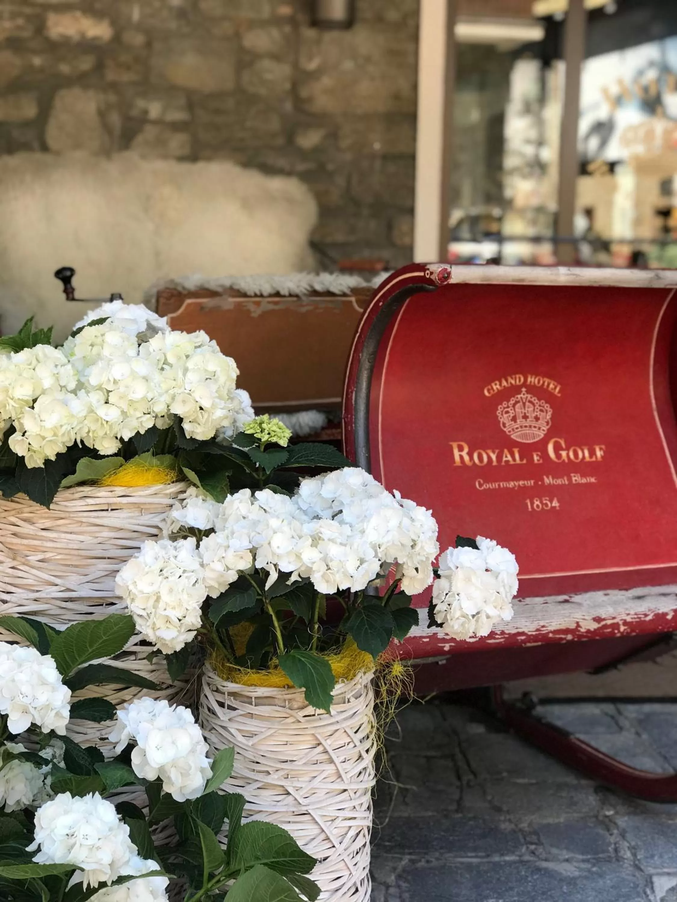 Property logo or sign in Grand Hotel Royal E Golf