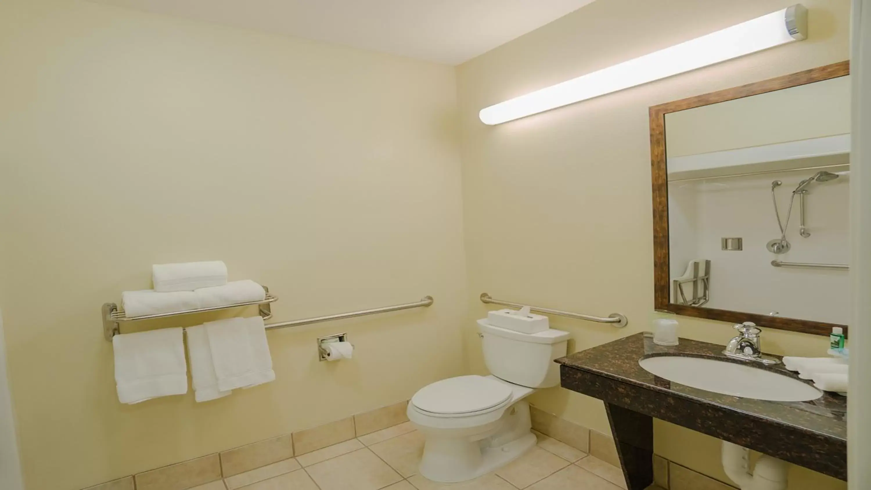 King Room with Mobility Accessible Roll-In Shower - Non-Smoking in Holiday Inn Express Hotel & Suites Pampa, an IHG Hotel King Room with Mobility Accessible Roll-In Shower - Non-Smoking in Holiday Inn Express Hotel & Suites Pampa, an IHG Hotel