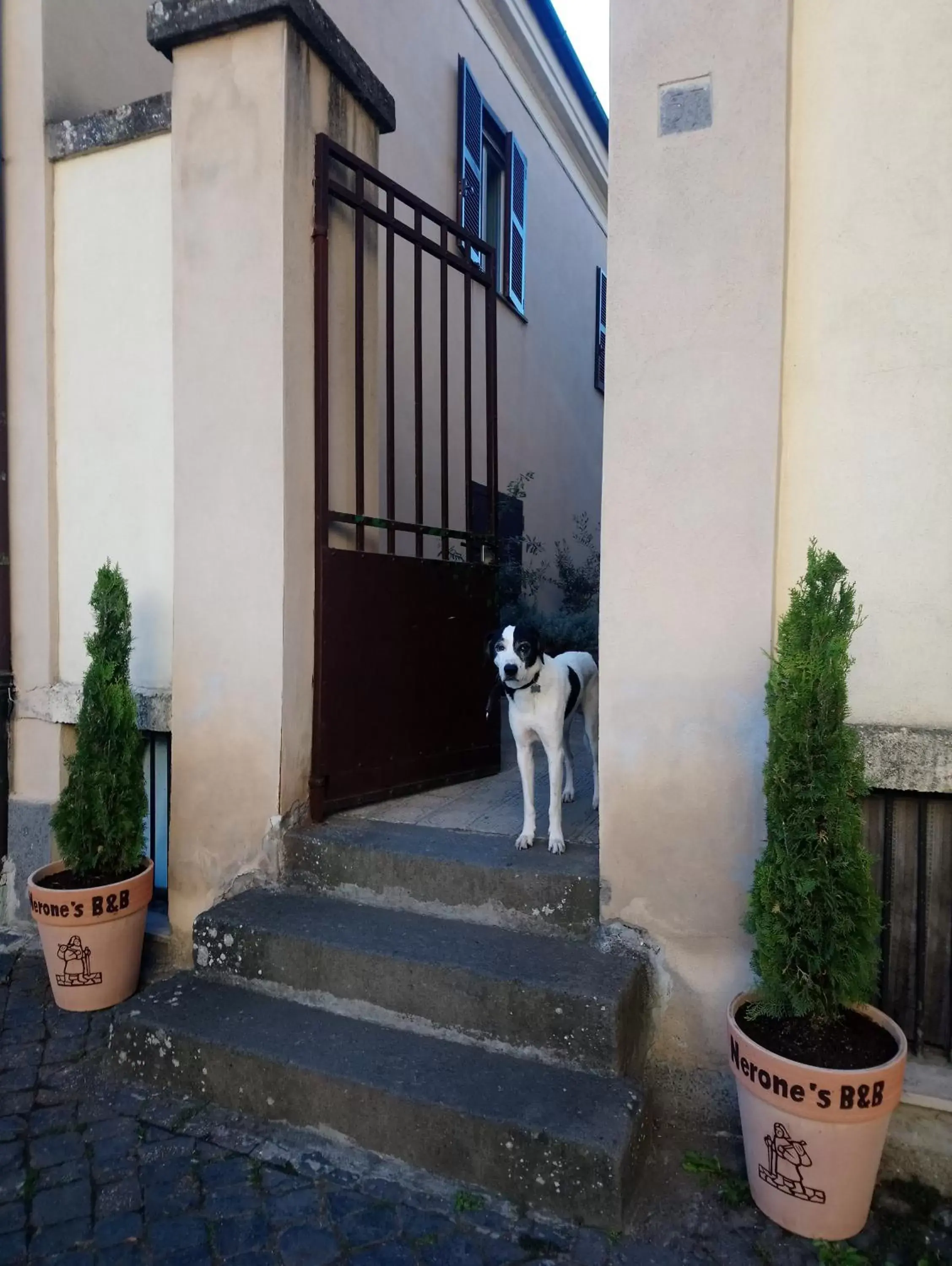 Property building, Pets in Nerone's - Sutri Bed & Dinner