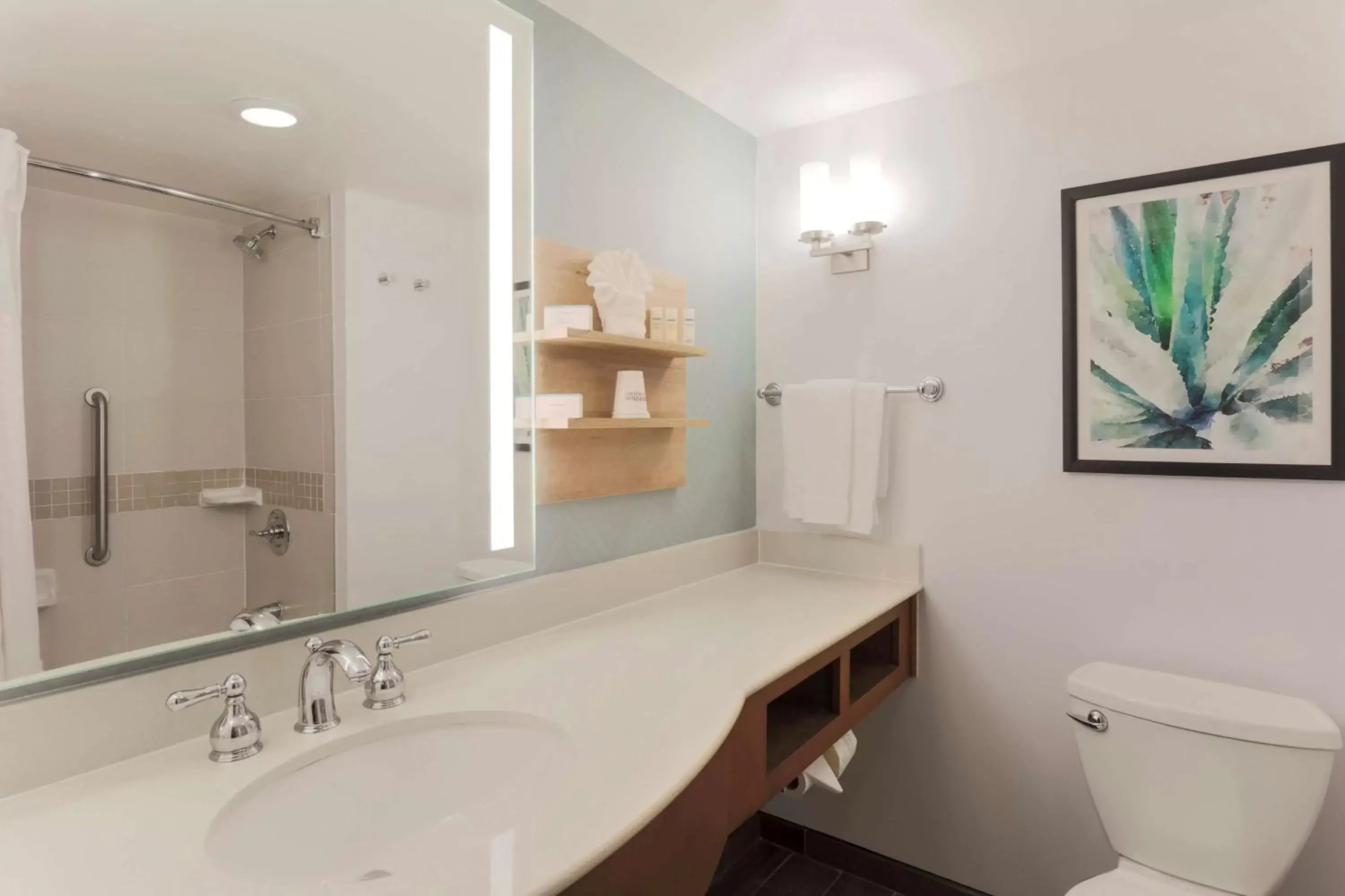 Bathroom in Hilton Garden Inn Raleigh-Durham/Research Triangle Park