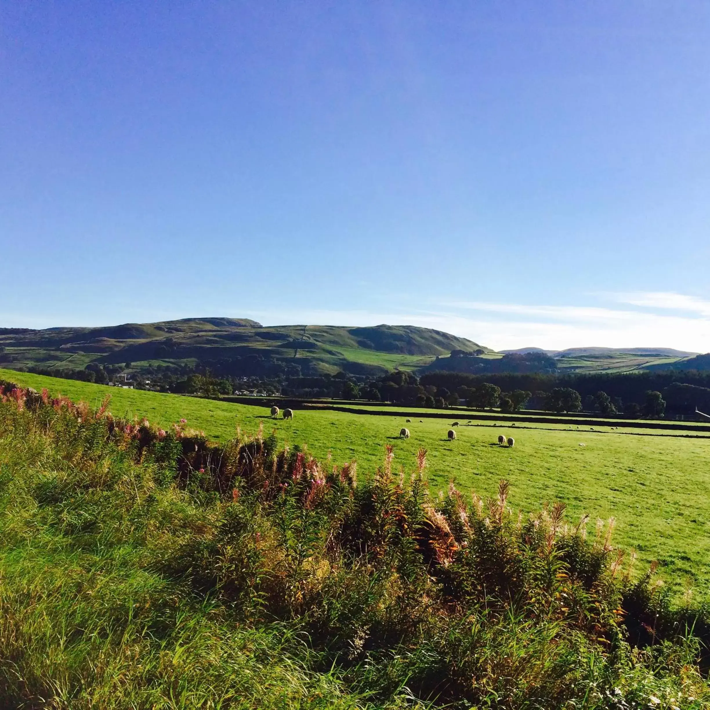 Natural Landscape in The Craven Arms