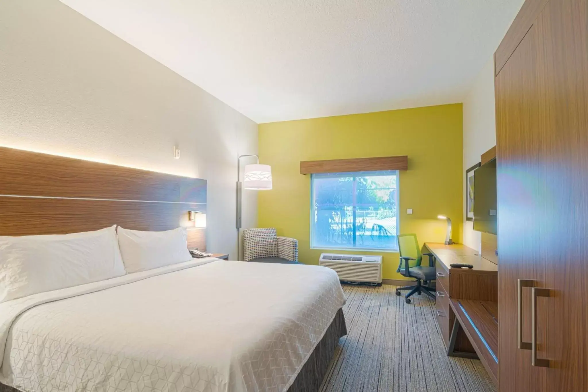 Photo of the whole room in Holiday Inn Express Hotel & Suites Tampa-USF-Busch Gardens, an IHG Hotel