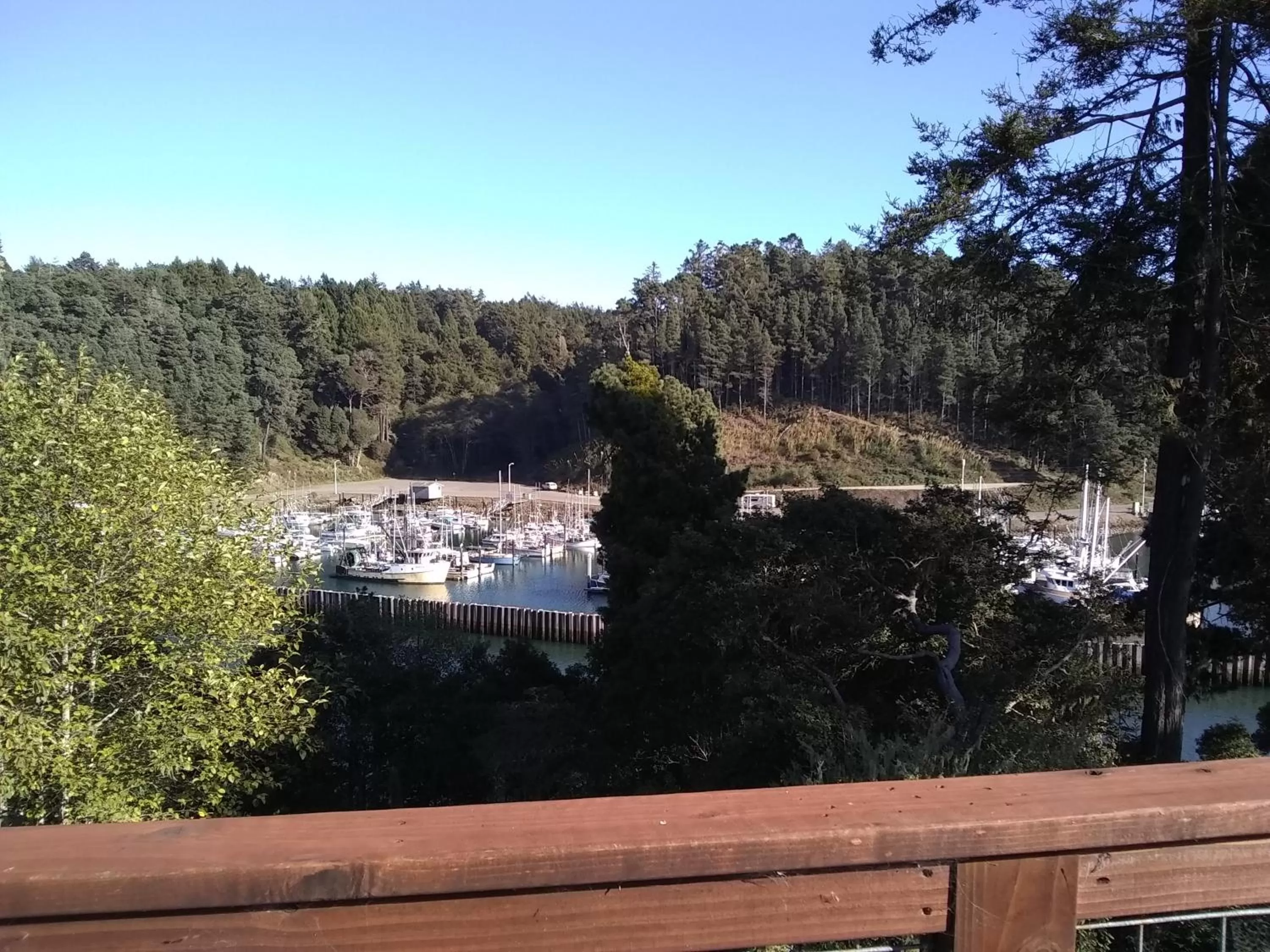 Natural landscape in Noyo Harbor Inn