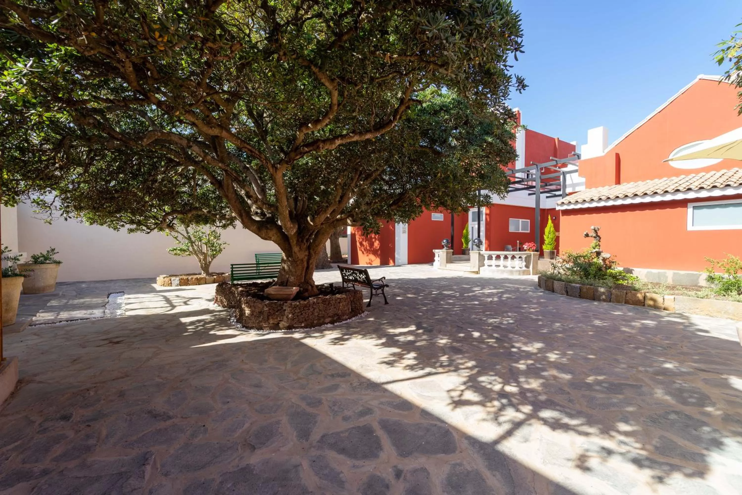 Patio in Albor Suites