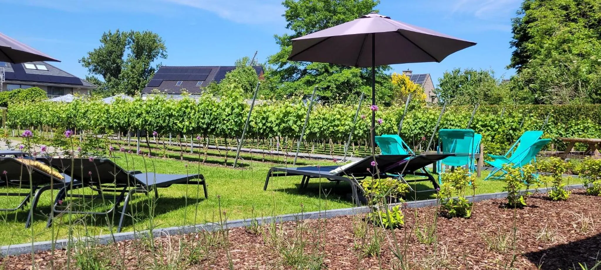 Garden in B&B Abalona