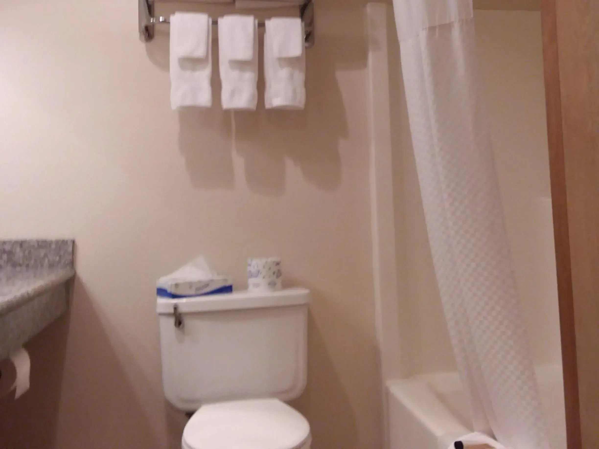 Bedroom, Bathroom in Nisqually Lodge