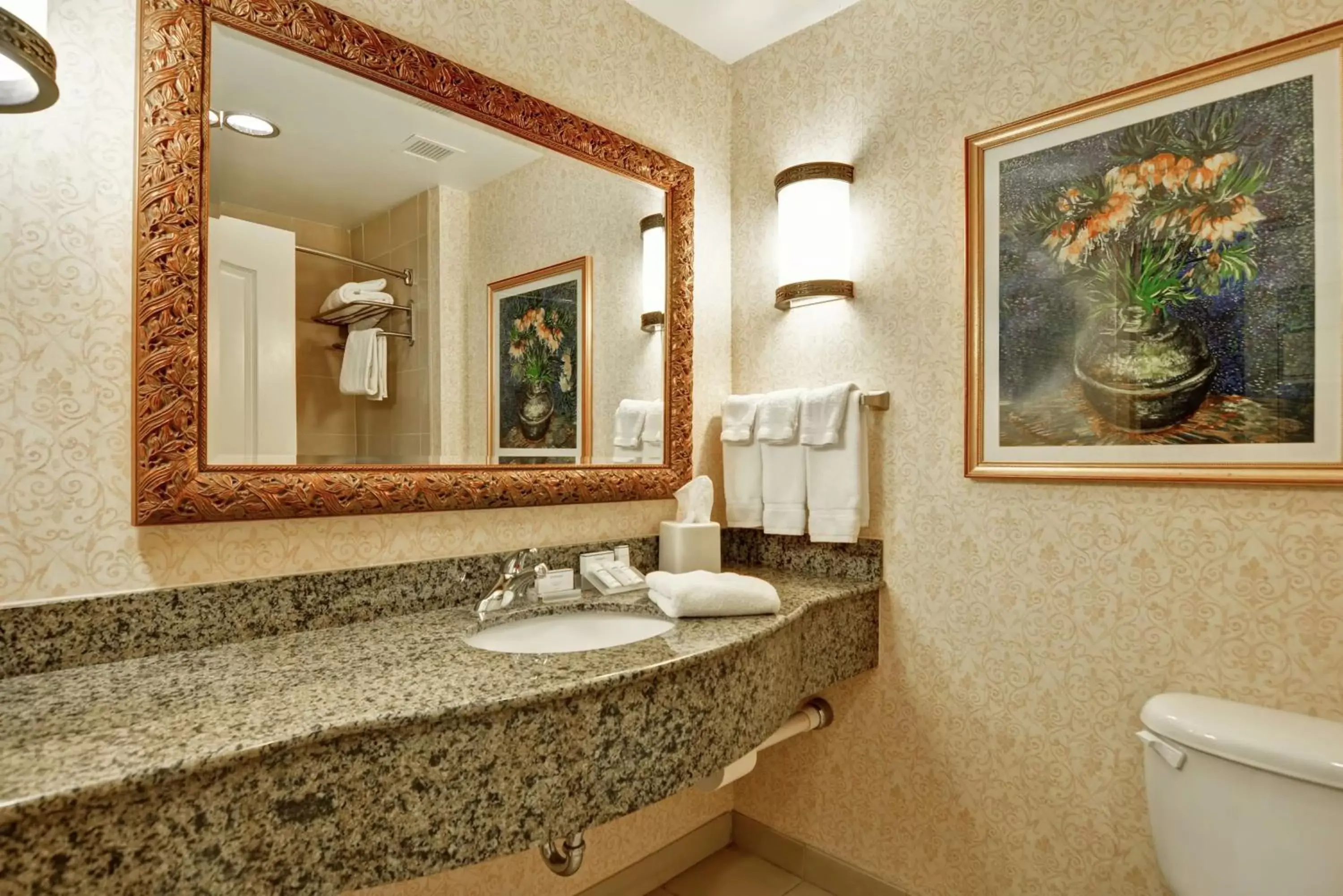 Bathroom in Hilton Garden Inn Amarillo