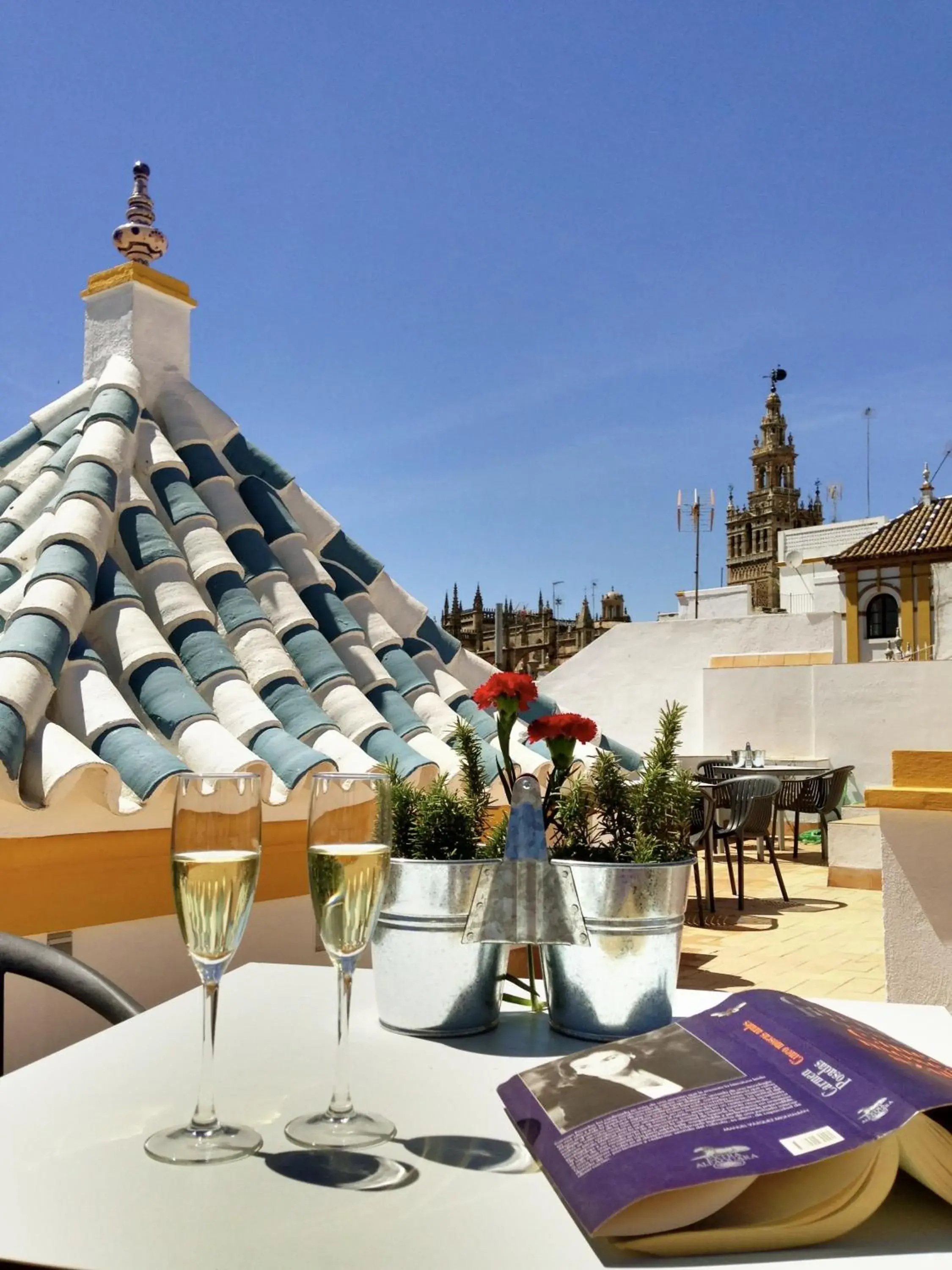 Balcony/Terrace in Hotel Boutique Elvira Plaza