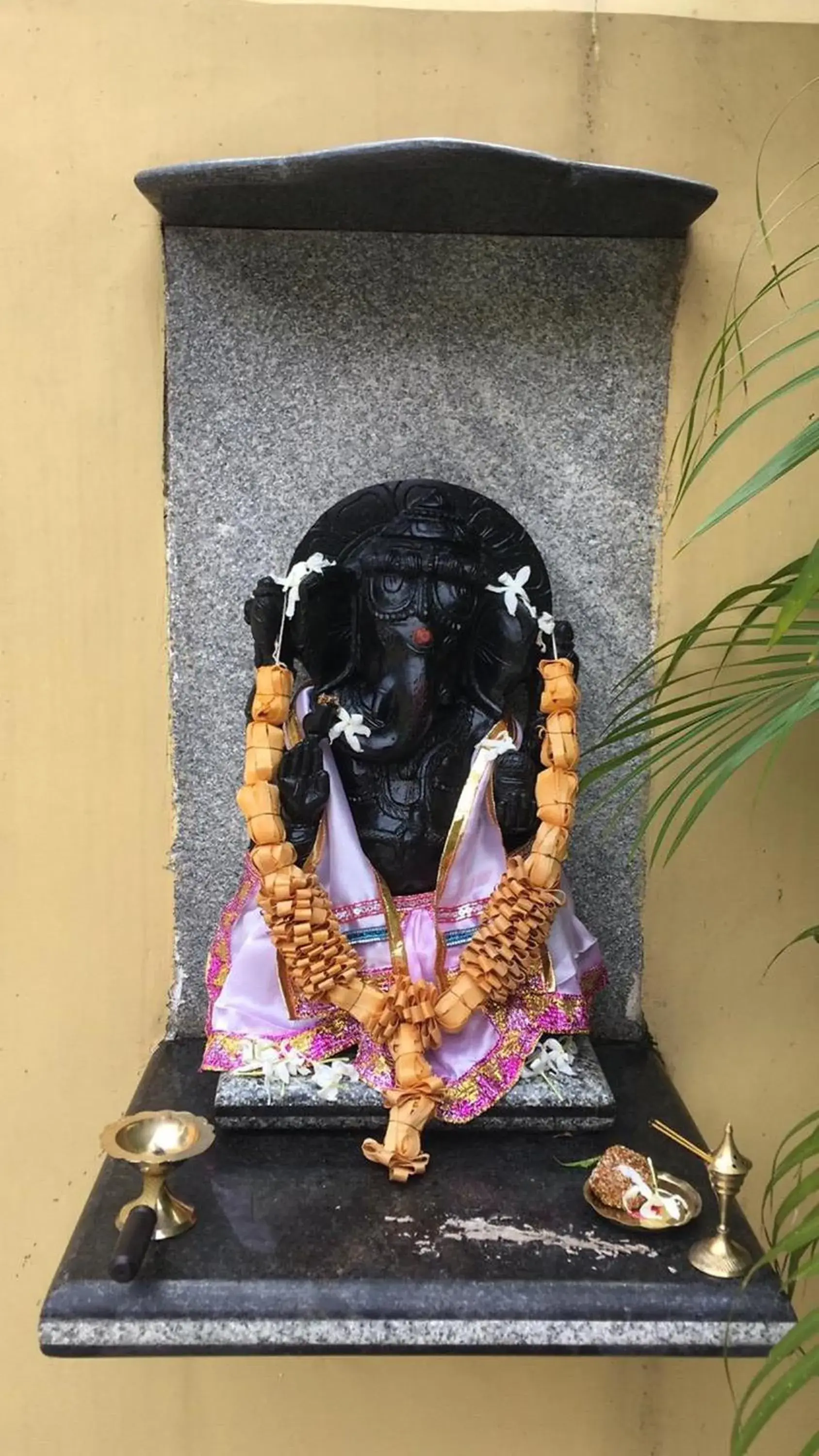 Nest Guest House Nest Guest House