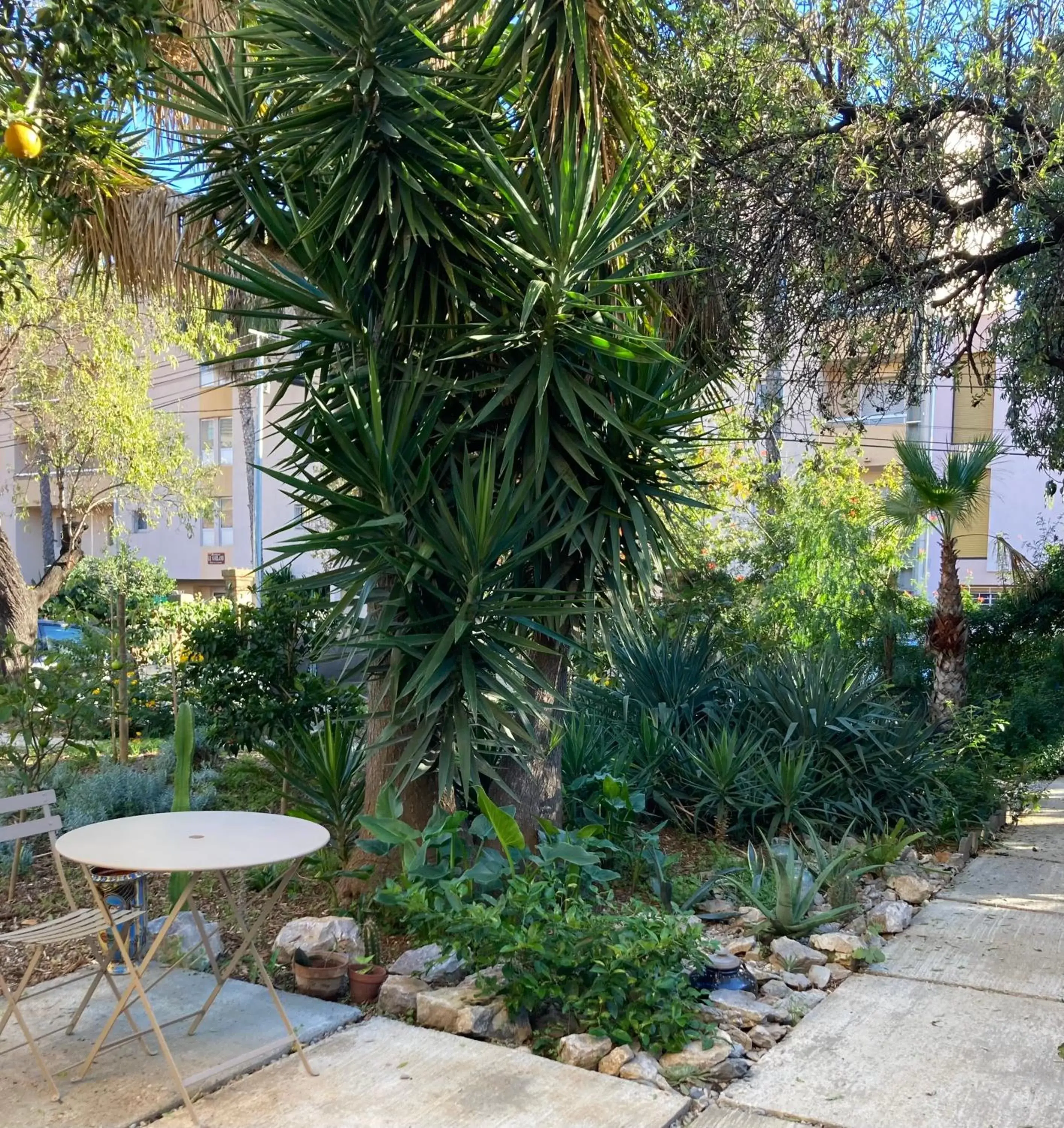 Garden view, Garden in La villa des Amandiers