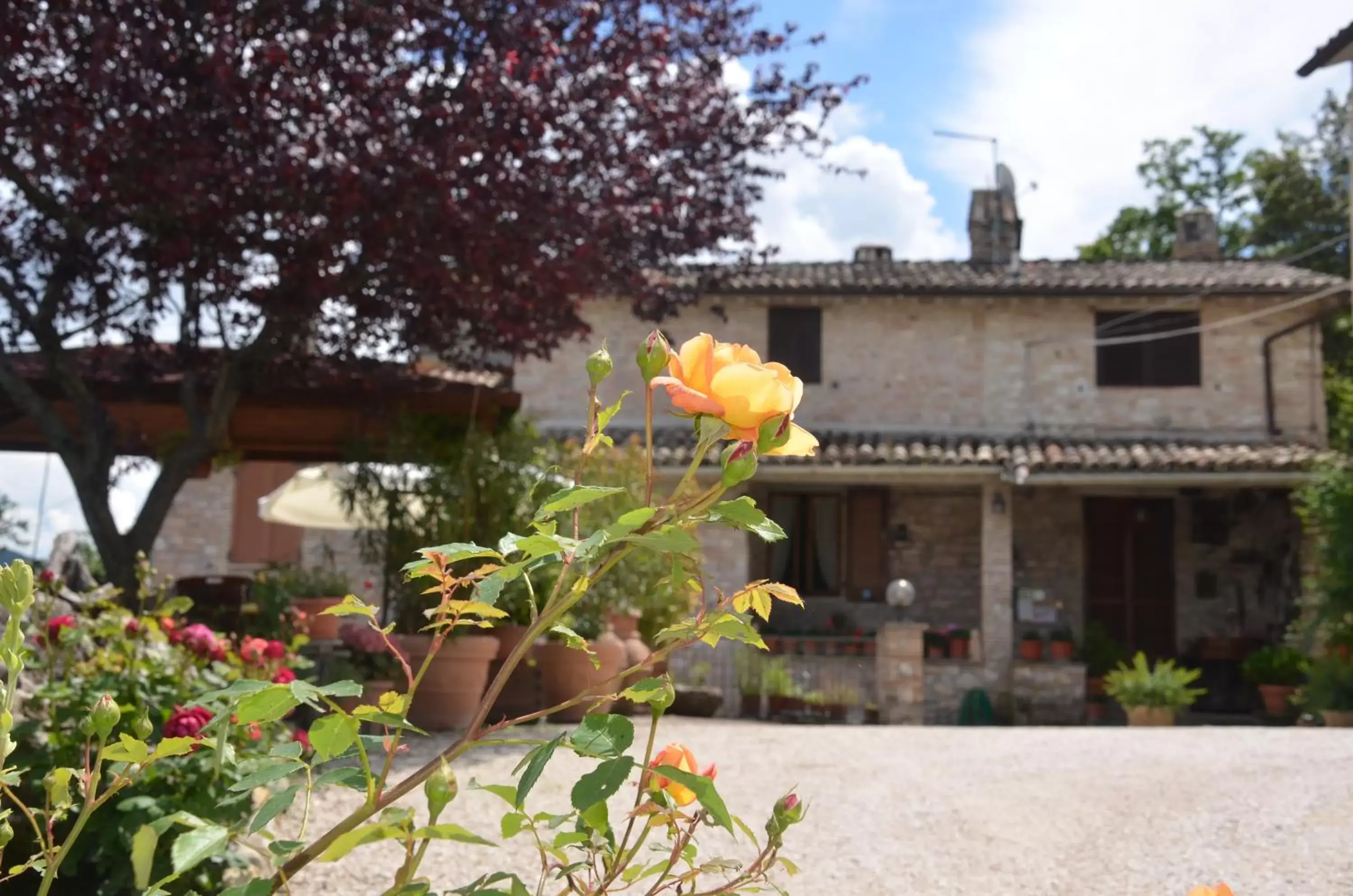 Property Building in B&B La Terrazza Del Subasio