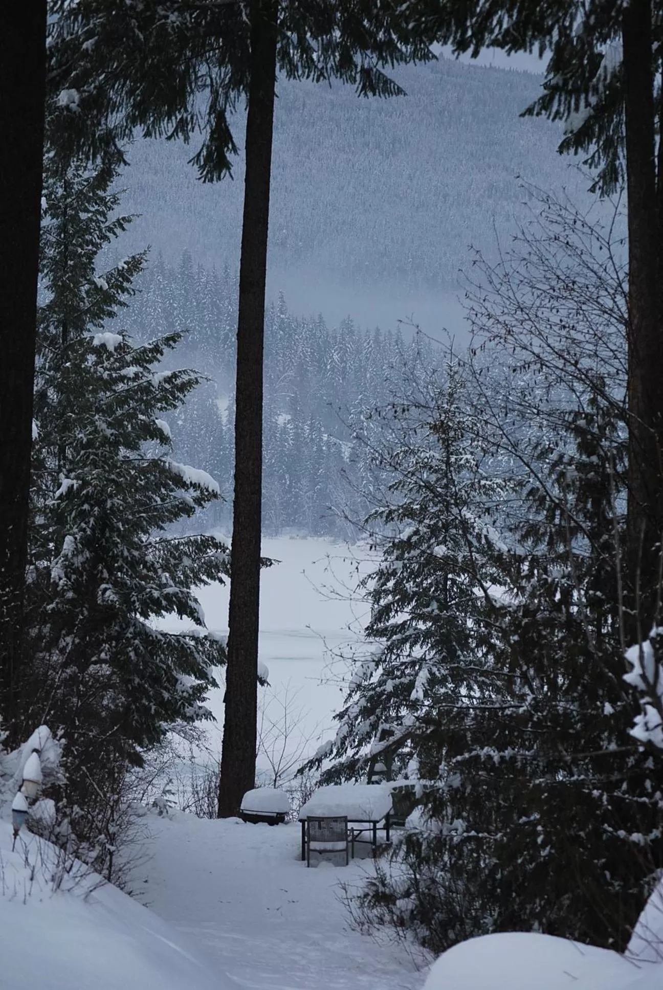 Natural landscape in Hotel Civilia Lakeside by Civilia Golf Retreat