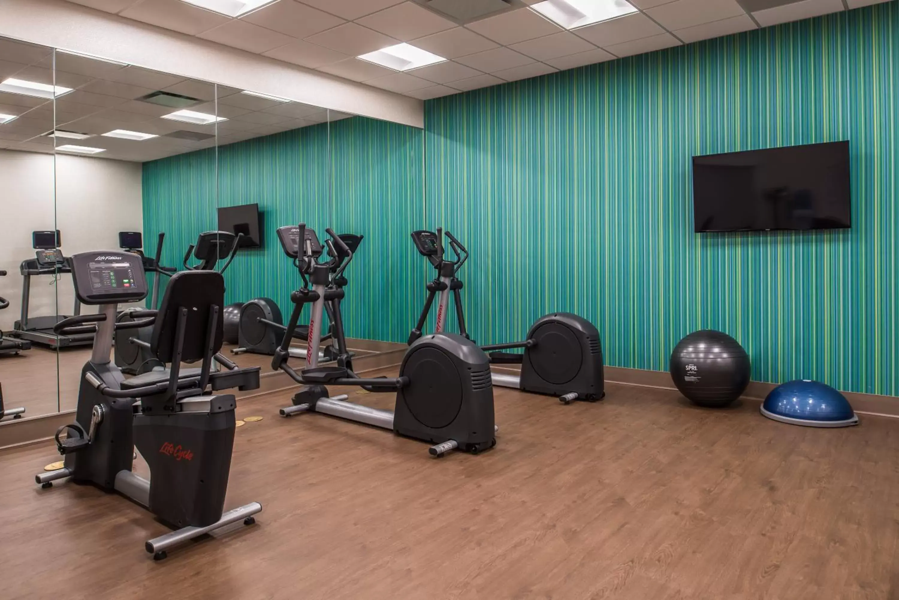 Spa and wellness centre/facilities, Fitness Center/Facilities in Holiday Inn Express & Suites Farmville, an IHG Hotel