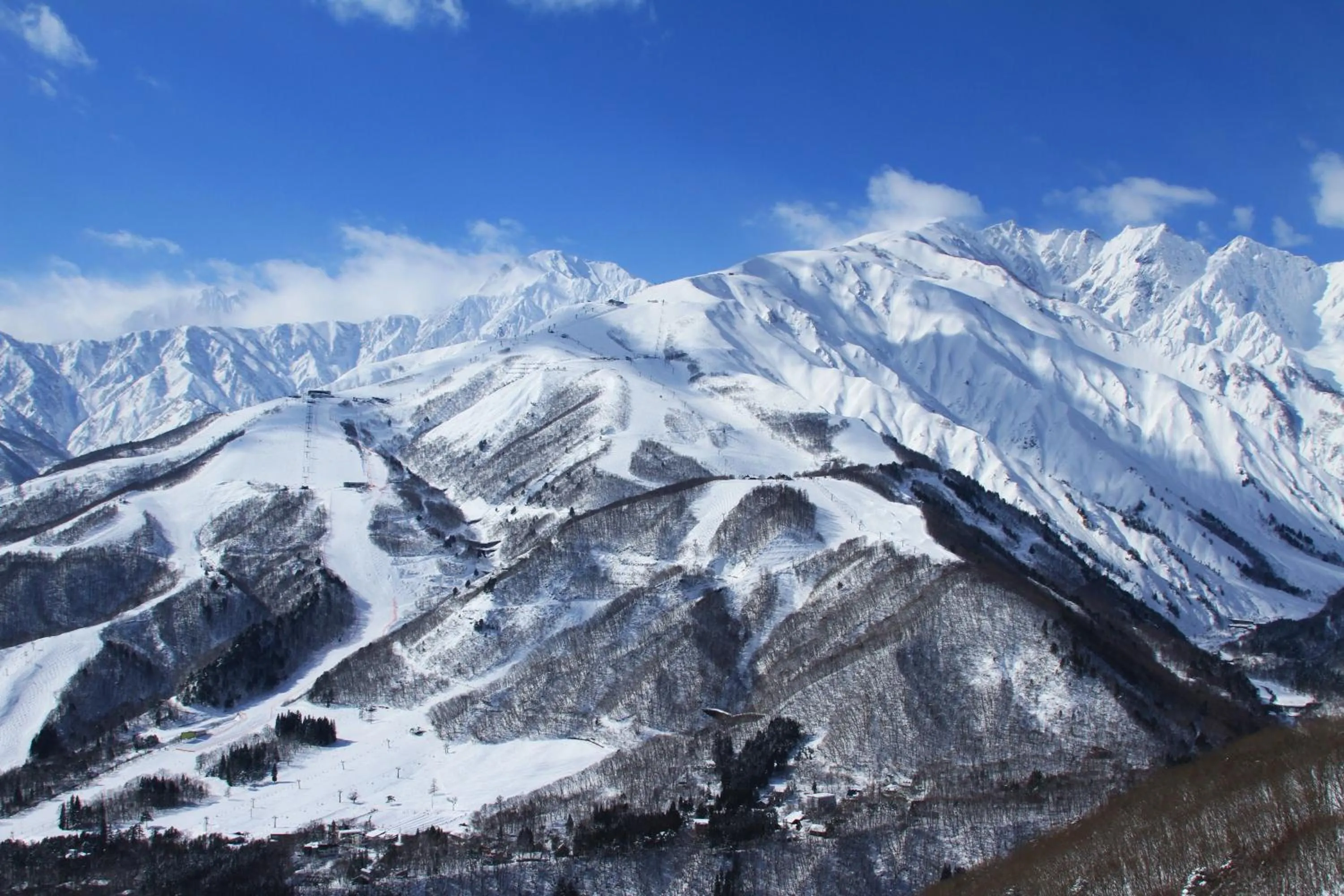 Skiing in Hotel Hakuba