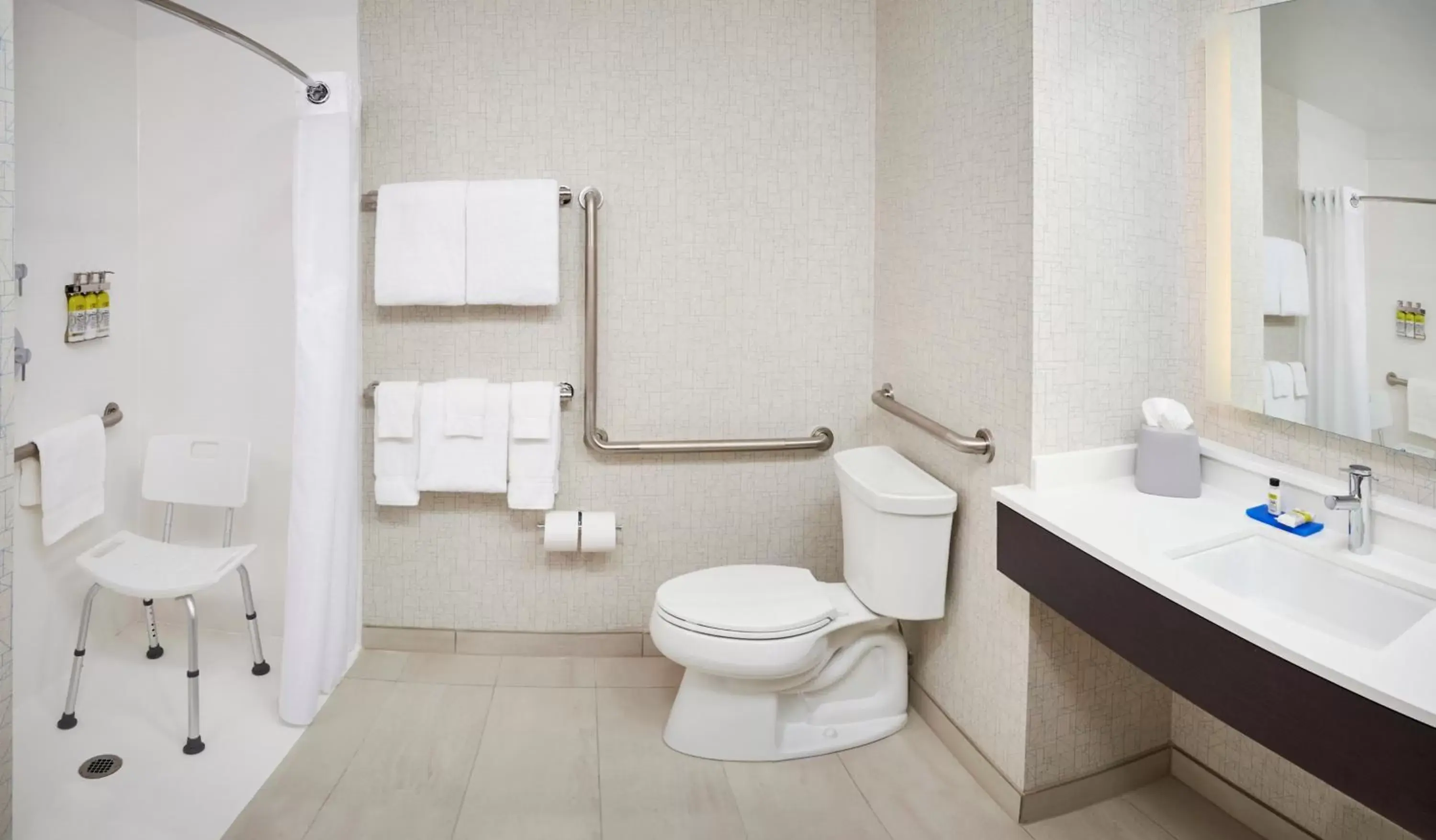 acessibility, Bathroom in Holiday Inn Express & Suites Windsor East - Lakeshore, an IHG Hotel