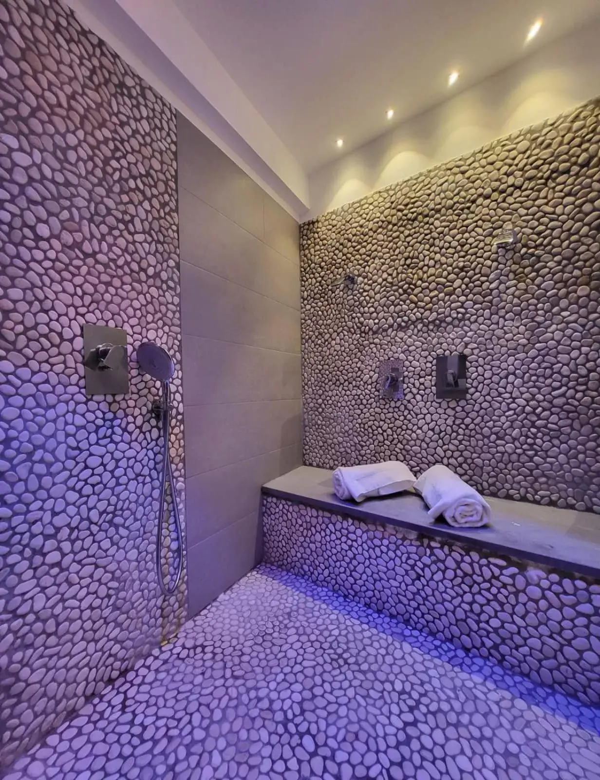 Shower, Bathroom in Harry's Bar Trevi Hotel & Restaurant
