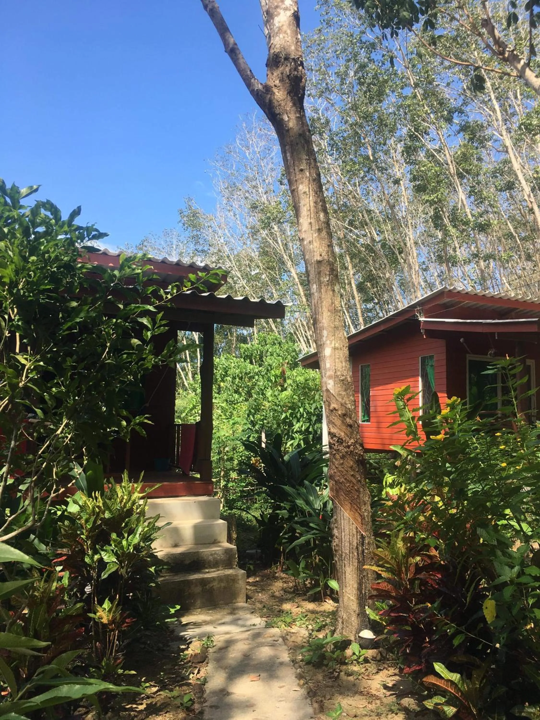 Natural landscape in Lanta Maikeaw Bungalow