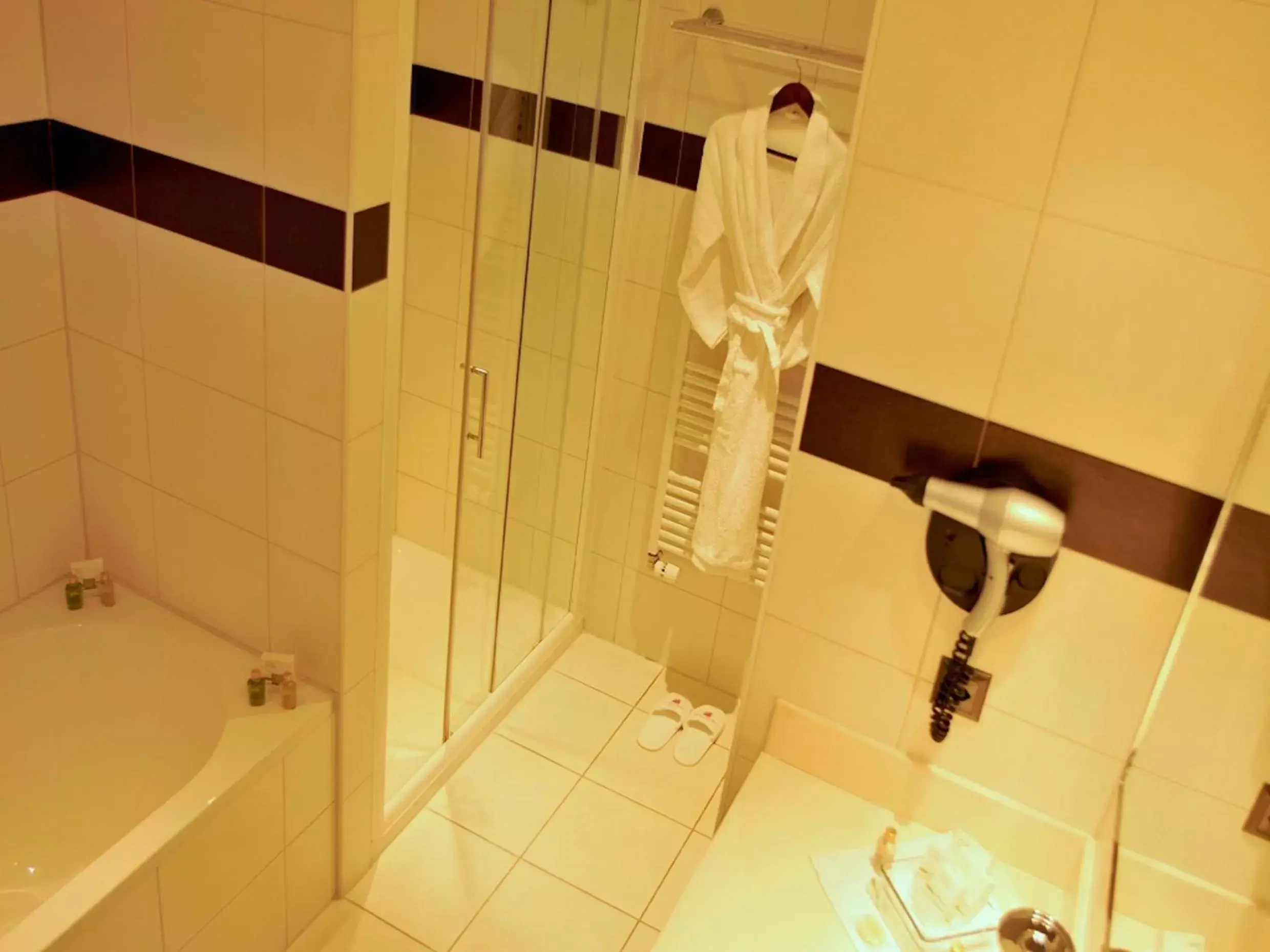 Shower, Bathroom in Airport Hotel Basel - Convenient & Friendly