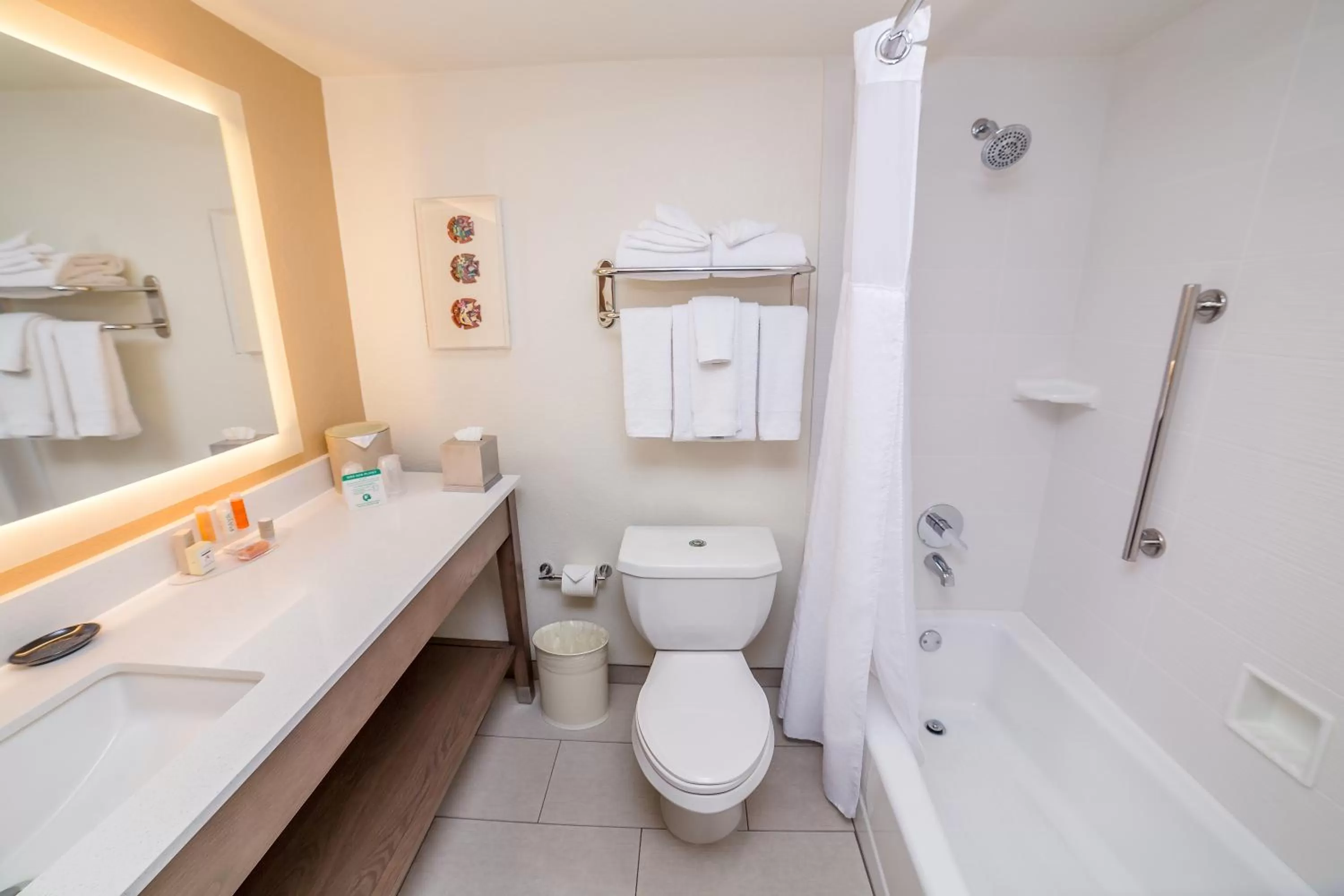 Bathroom in Gateway Hotel Santa Monica