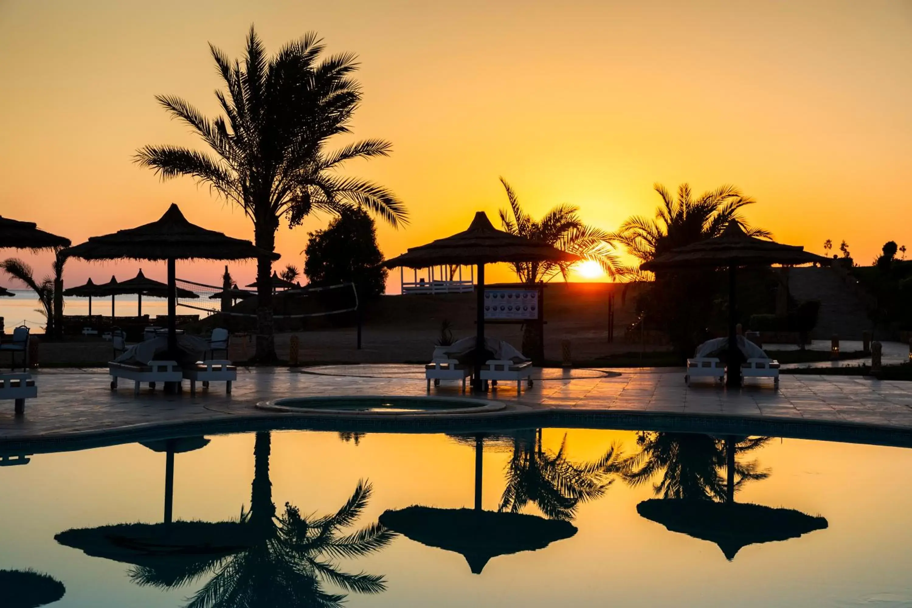 Swimming pool, Sunrise/Sunset in Coral Sun Beach