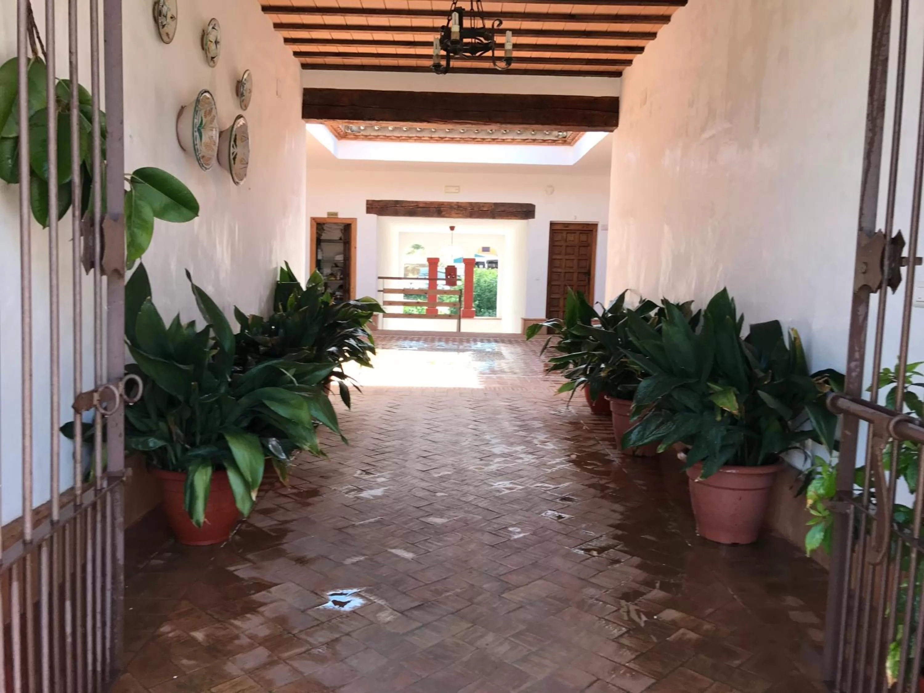 Apartamentos Turísticos - Hostal Los Alisos