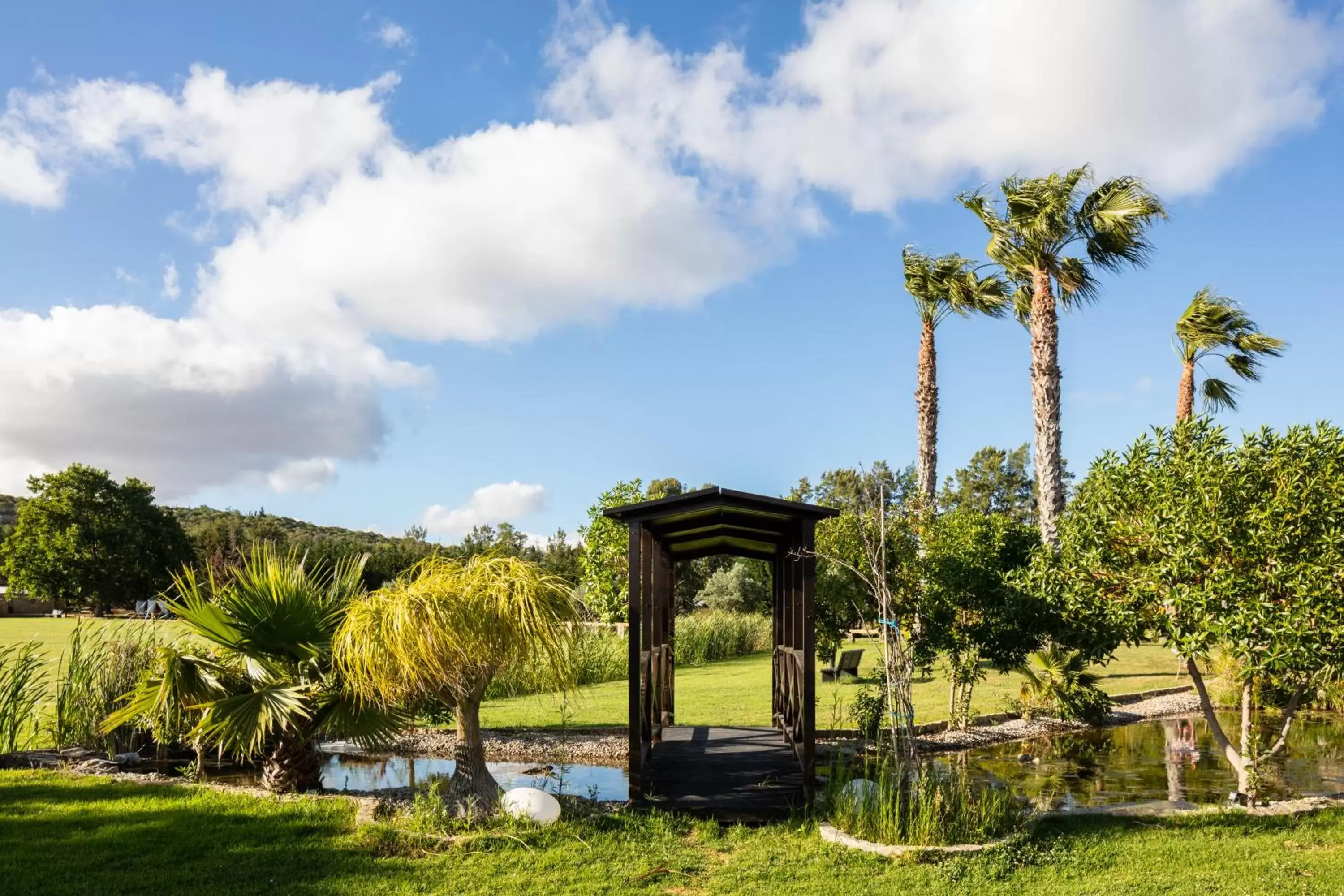 Garden in Vila Valverde Design Country Hotel