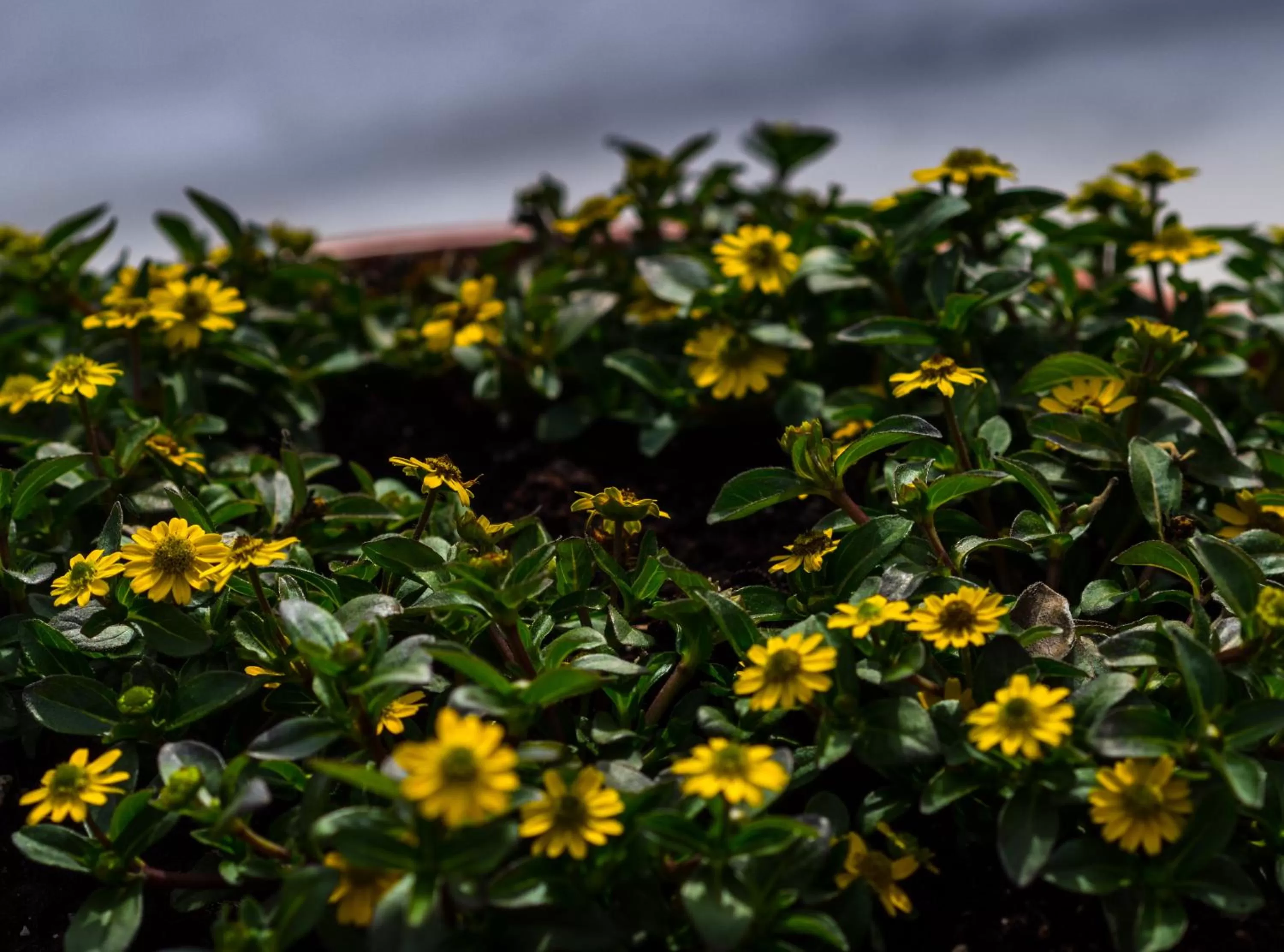 Natural landscape in B&B La Grange