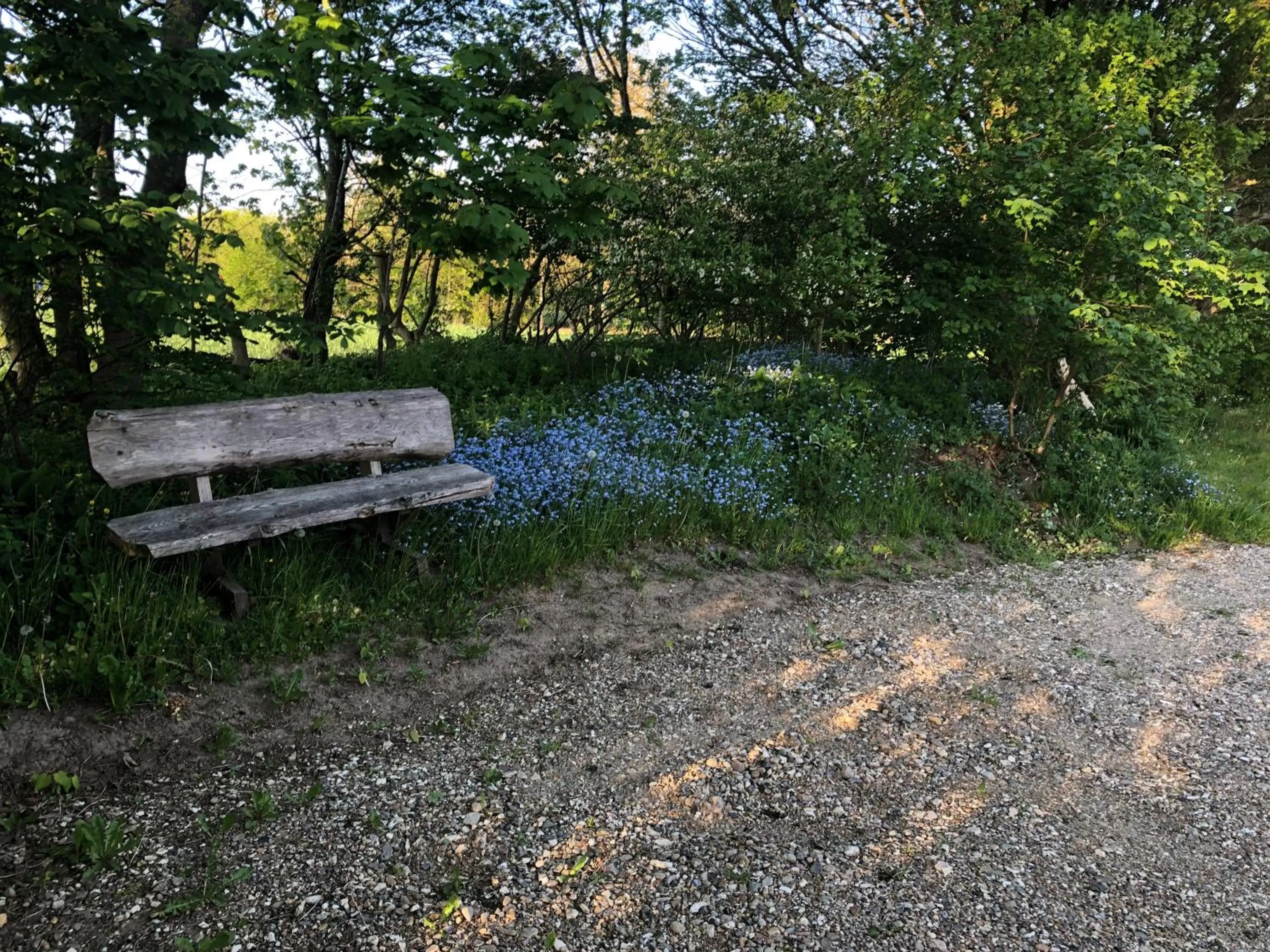 Garden in Landevejens B&B Holstebro