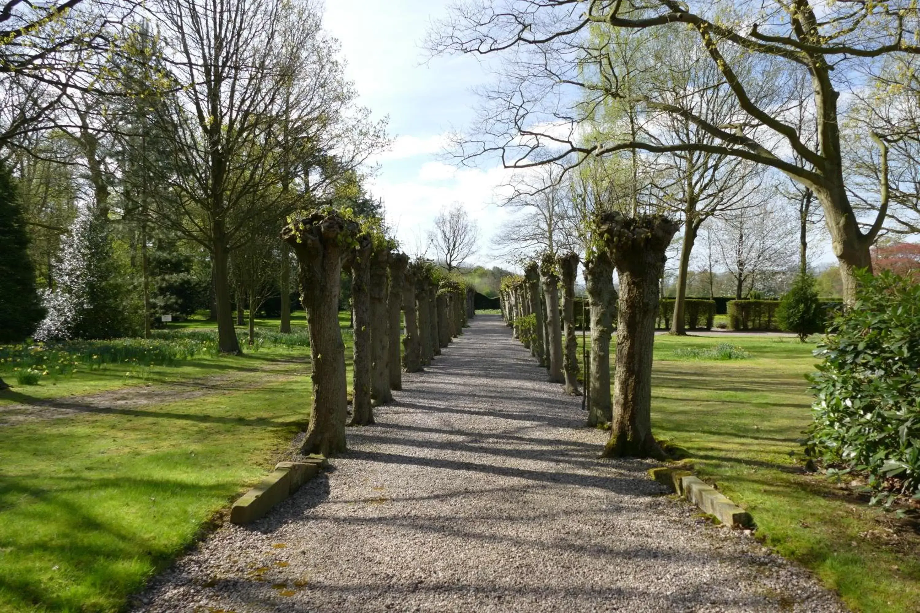 Garden in Hoar Cross Hall