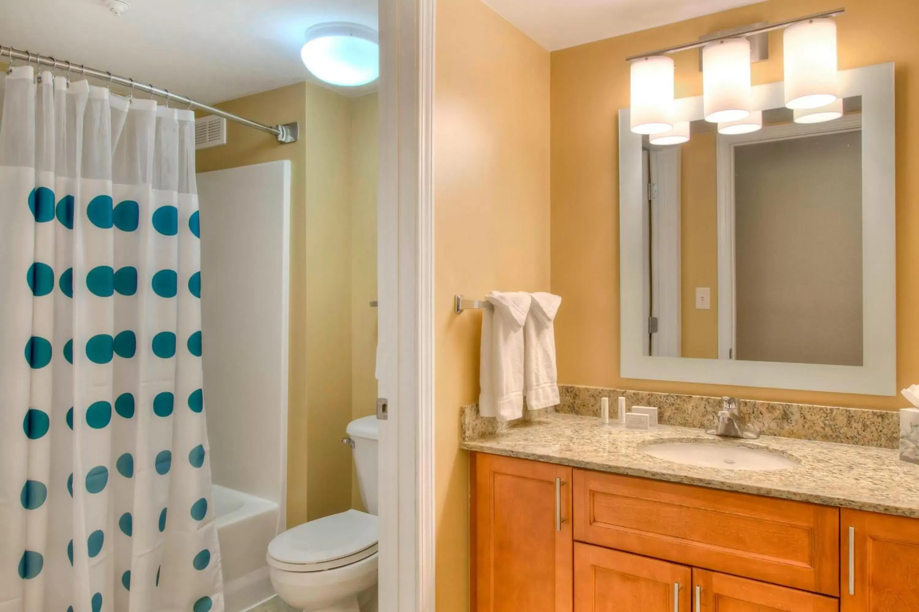 Bathroom in TownePlace Suites Raleigh Cary/Weston Parkway