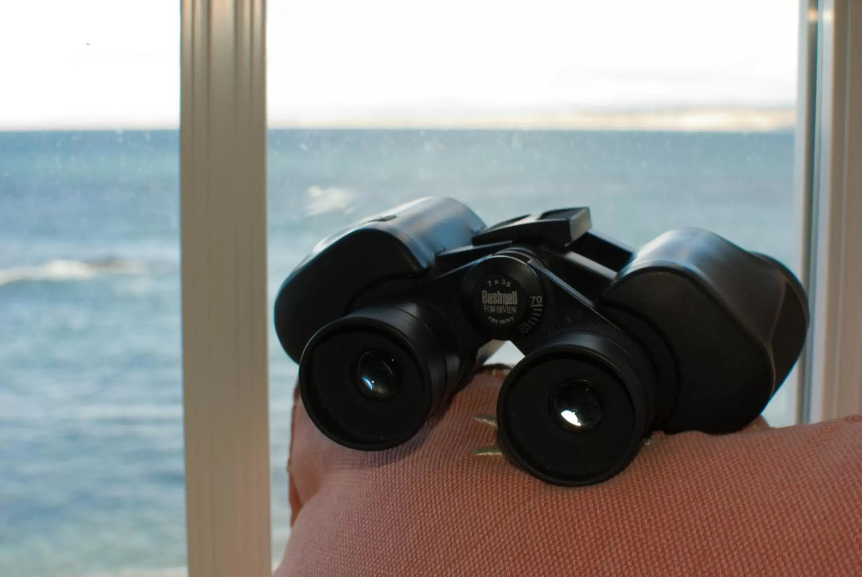 View (from property/room) in Spindrift Inn View (from property/room) in Spindrift Inn